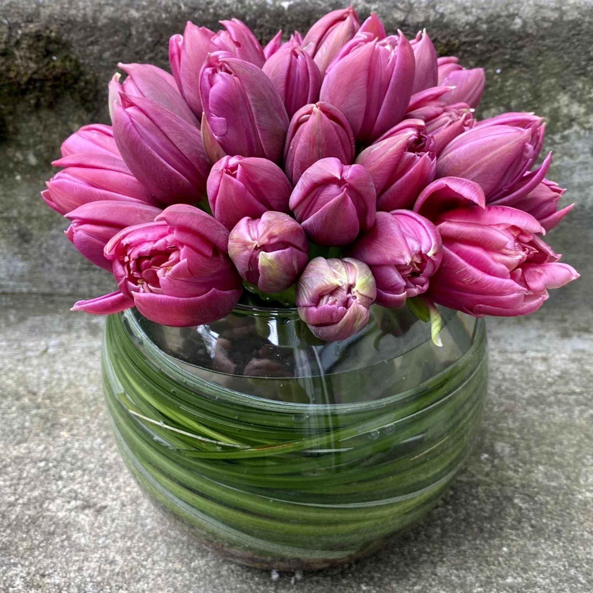 A collection of beautiful, fancy tulips in a bubble bowl with pebbles