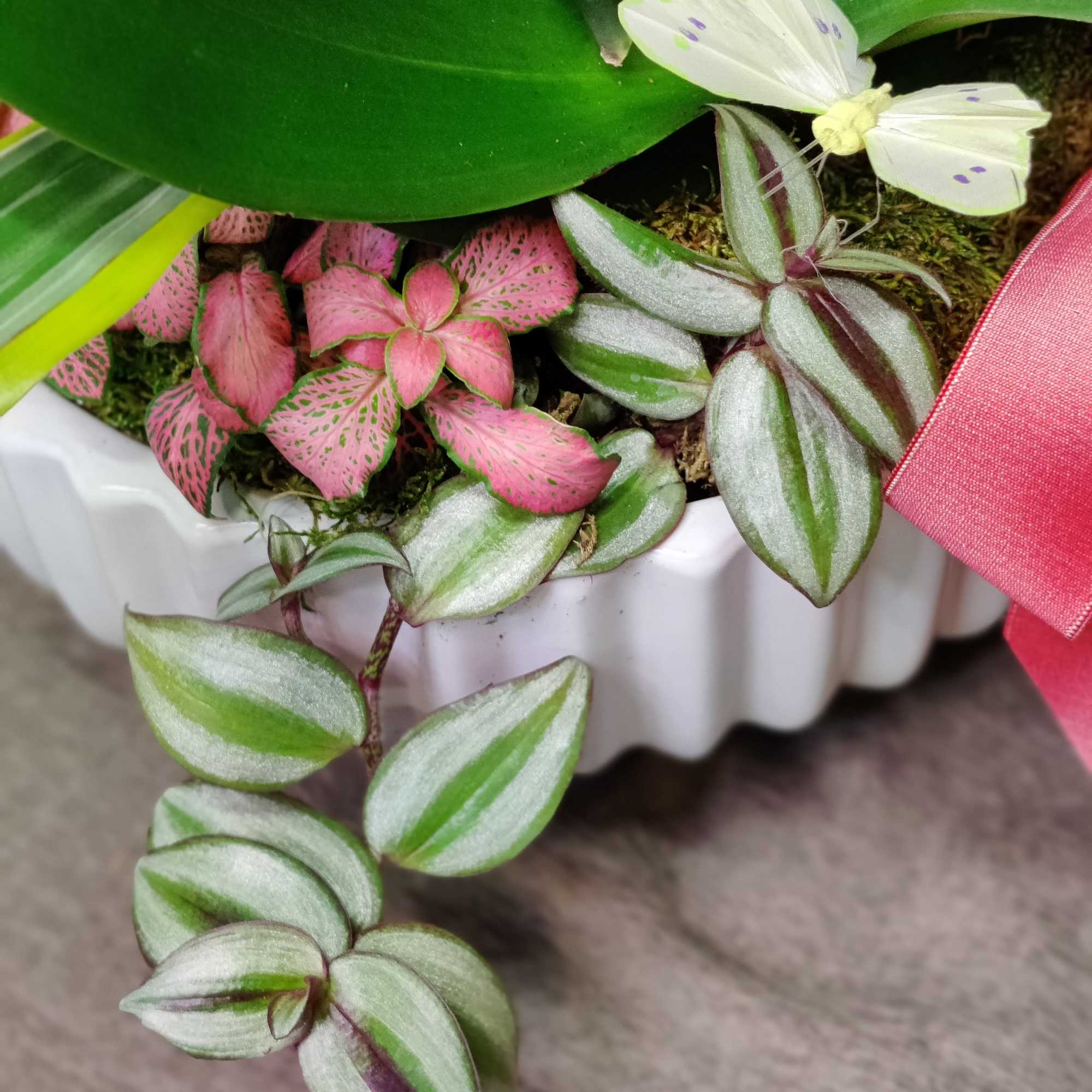 Tons of beautiful exotic indoor tropical foliage blooming and an orchid plant.