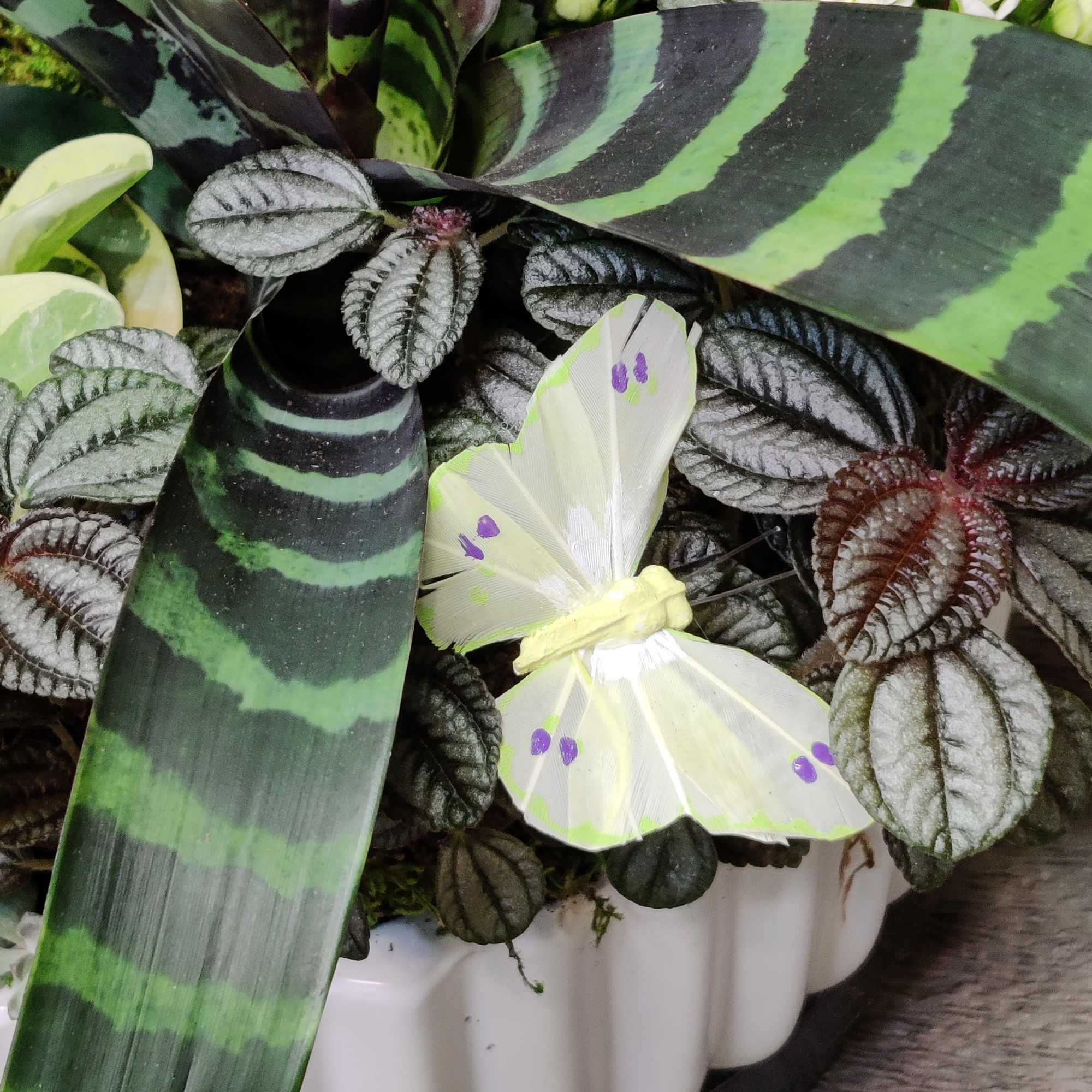 Tons of beautiful exotic indoor tropical foliage blooming and an orchid plant.