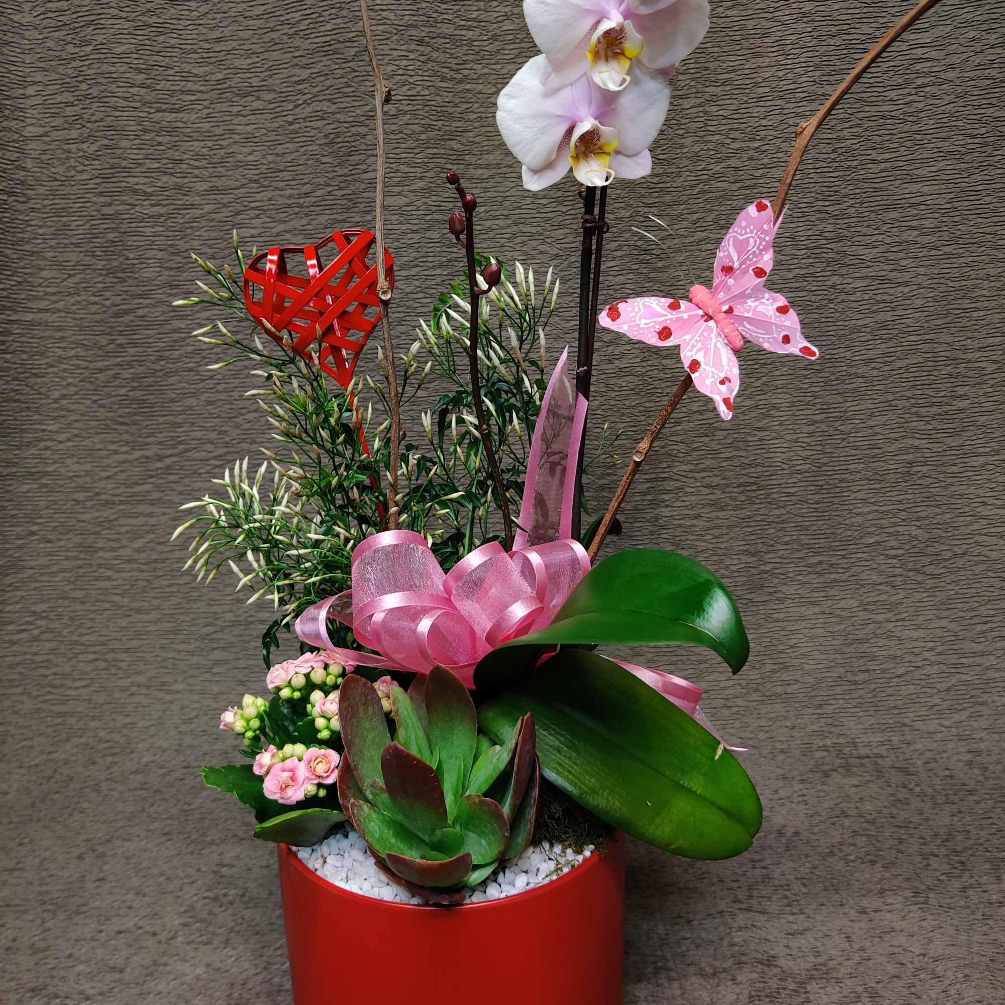 Blooming plants and succulent. Plants may vary 