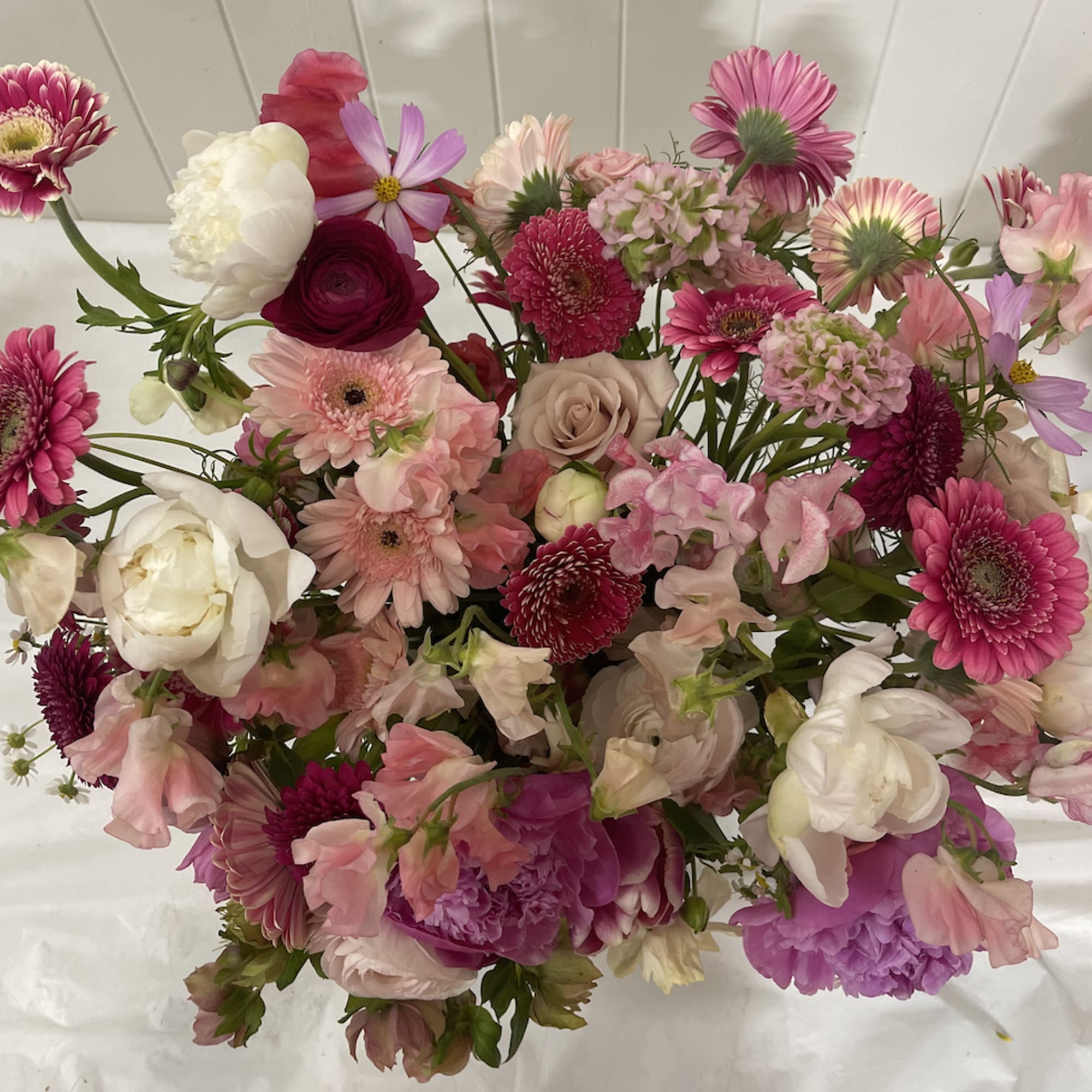 A monochromatic color palette featuring a variety of shades of pink.

Each Designer's