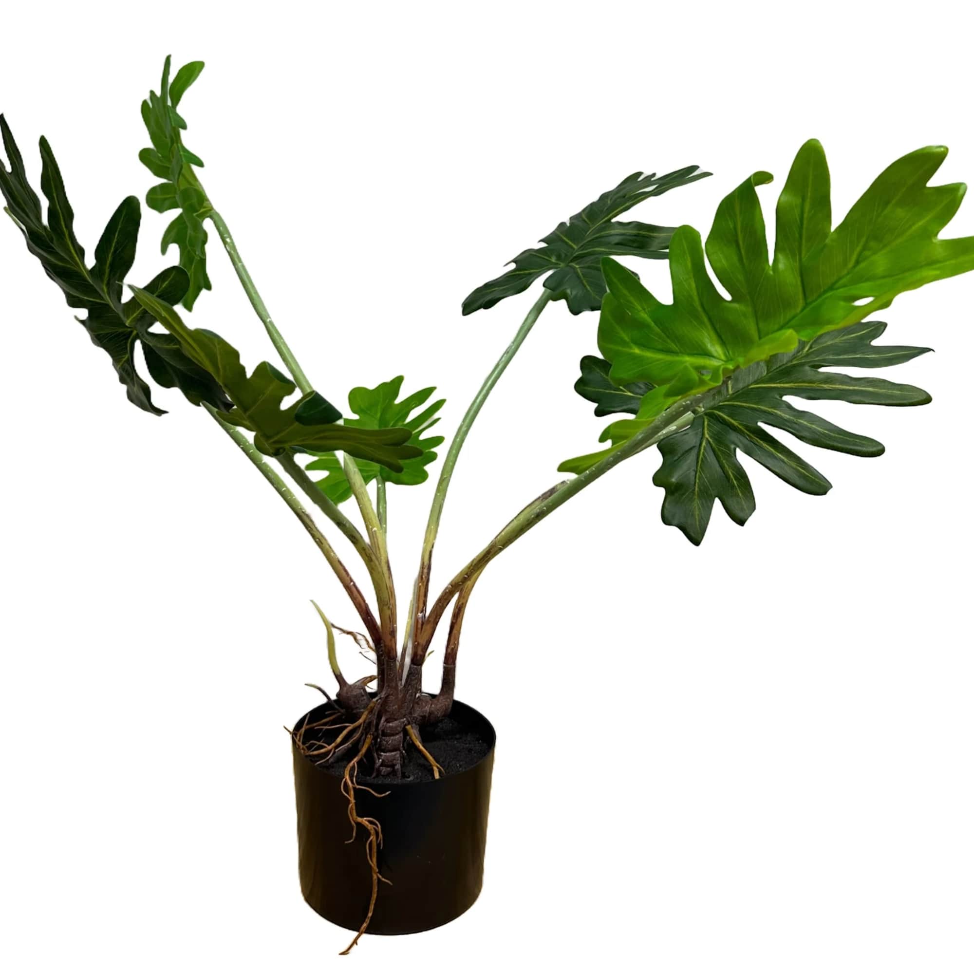 - Real Touch Leaves and Stems
- Overall Product Dimensions: 28" in height.
*
