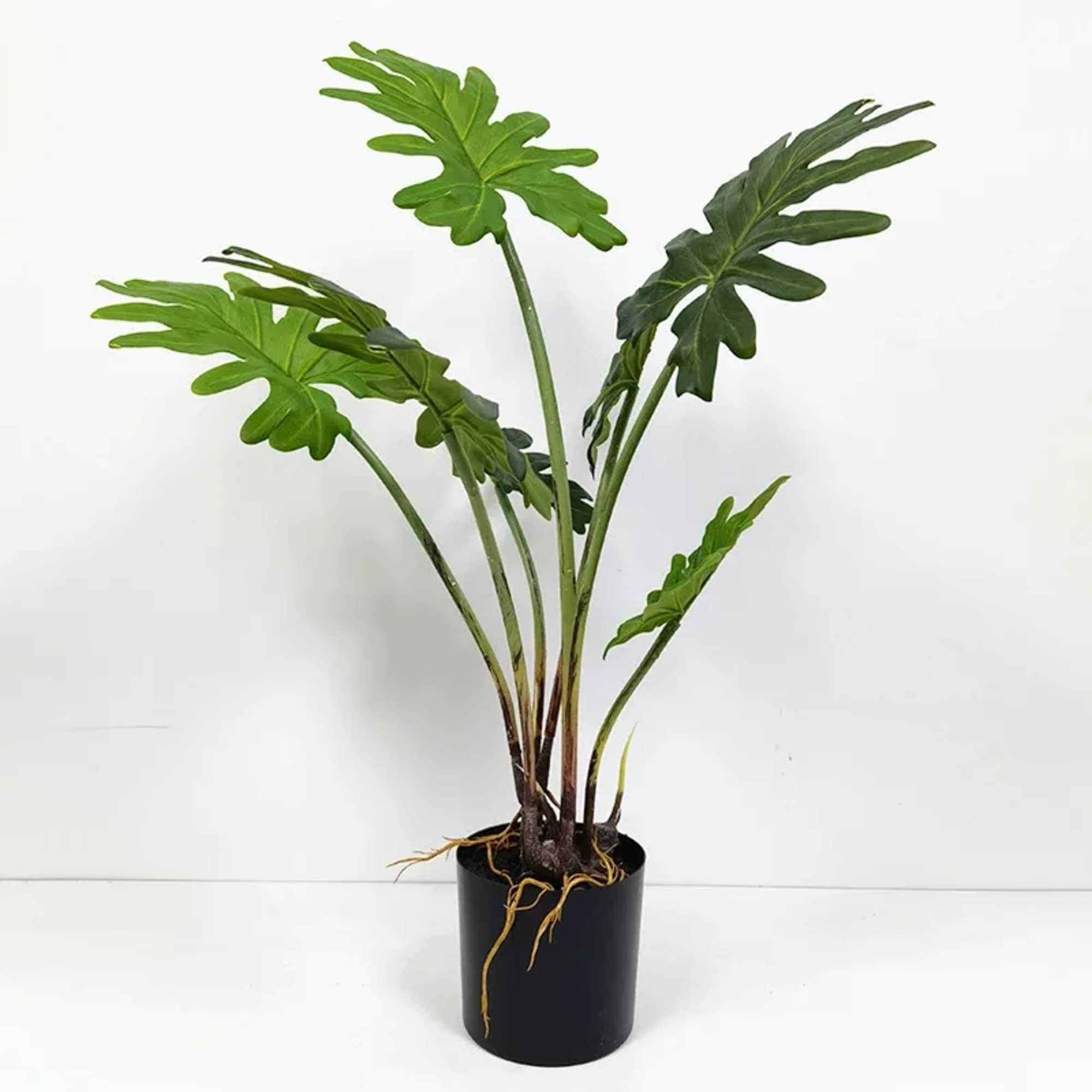 - Real Touch Leaves and Stems
- Overall Product Dimensions: 28" in height.
*