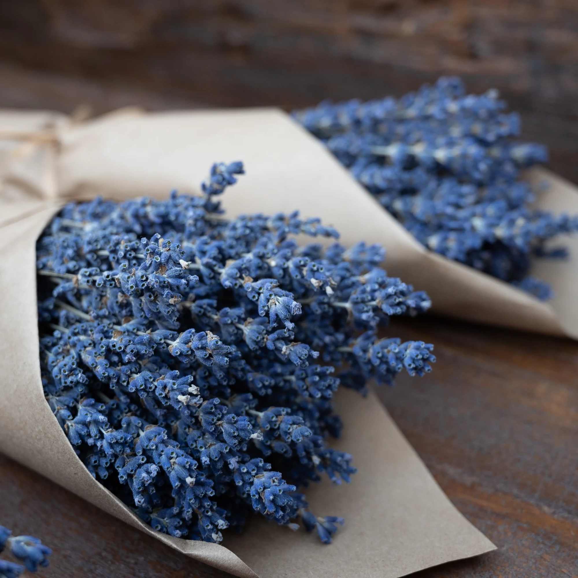Experience the rustic charm of our French Lavender, a symbol of timeless