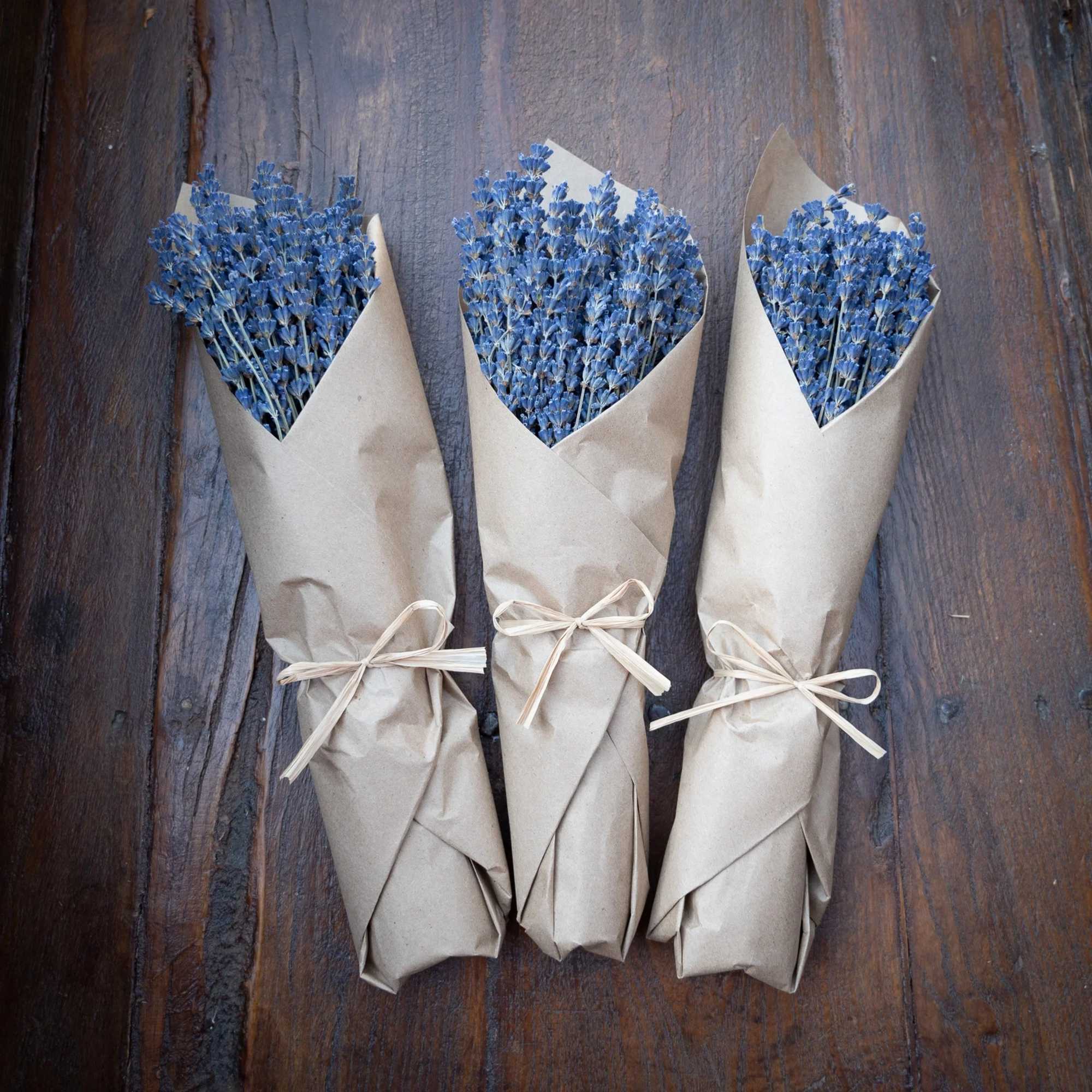 Experience the rustic charm of our French Lavender, a symbol of timeless