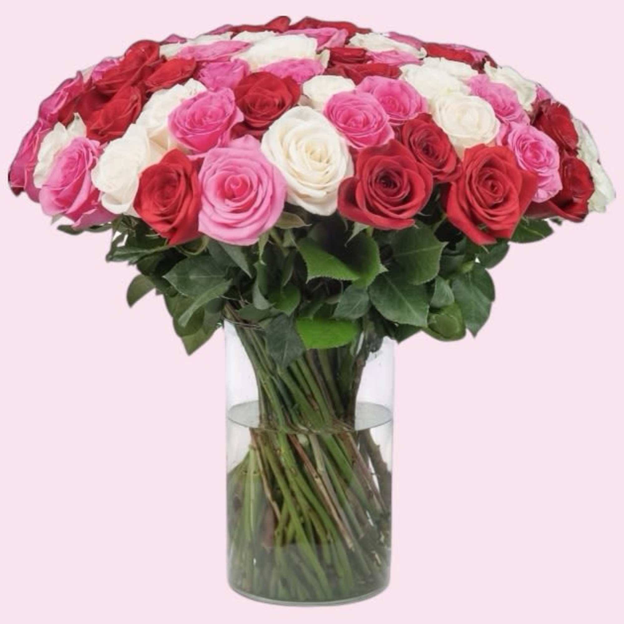 Mixed red, white and pink roses in the large glass vase. Bouquet