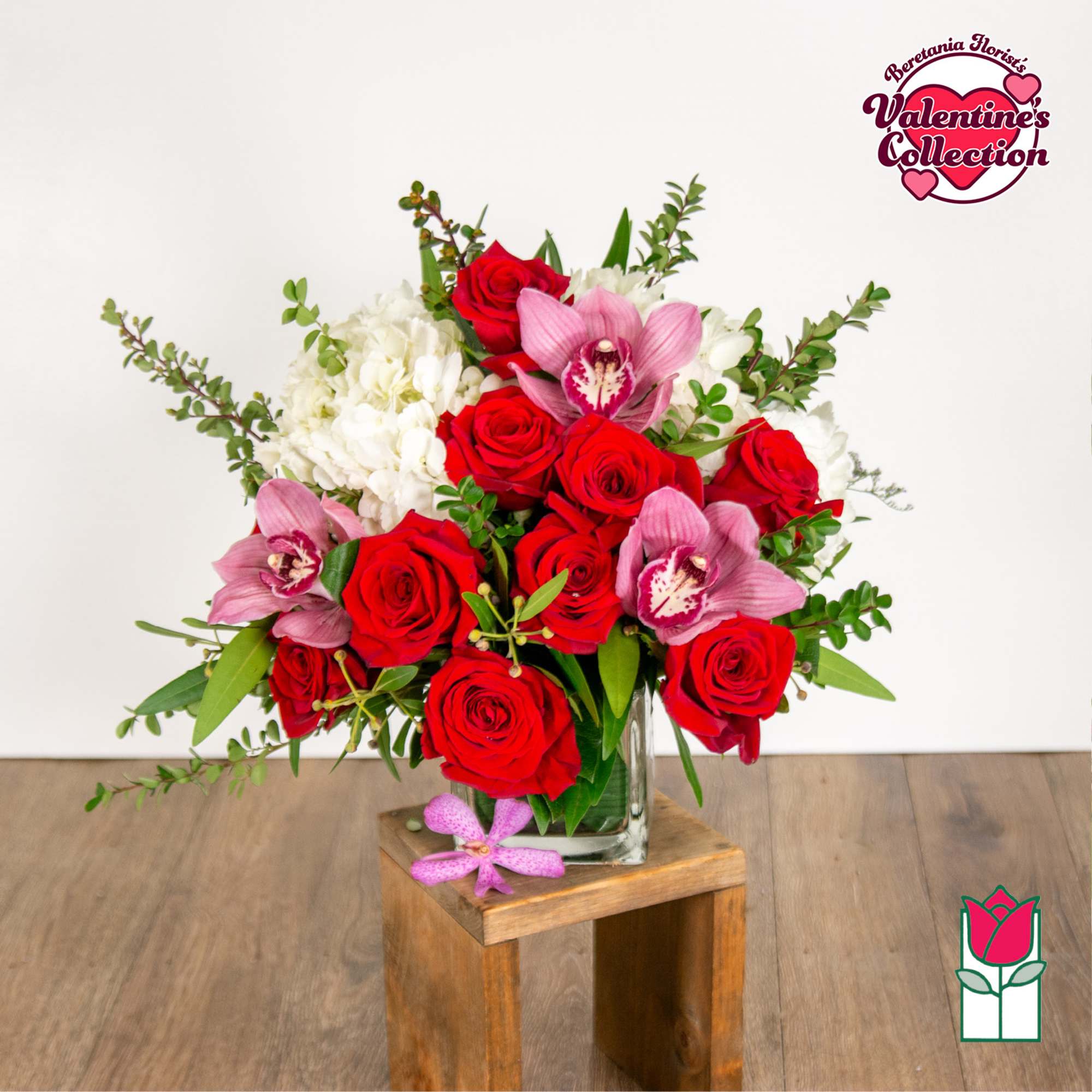 Approx. size: 8" High x 8" Wide
Size category: Compact Size, perfect for