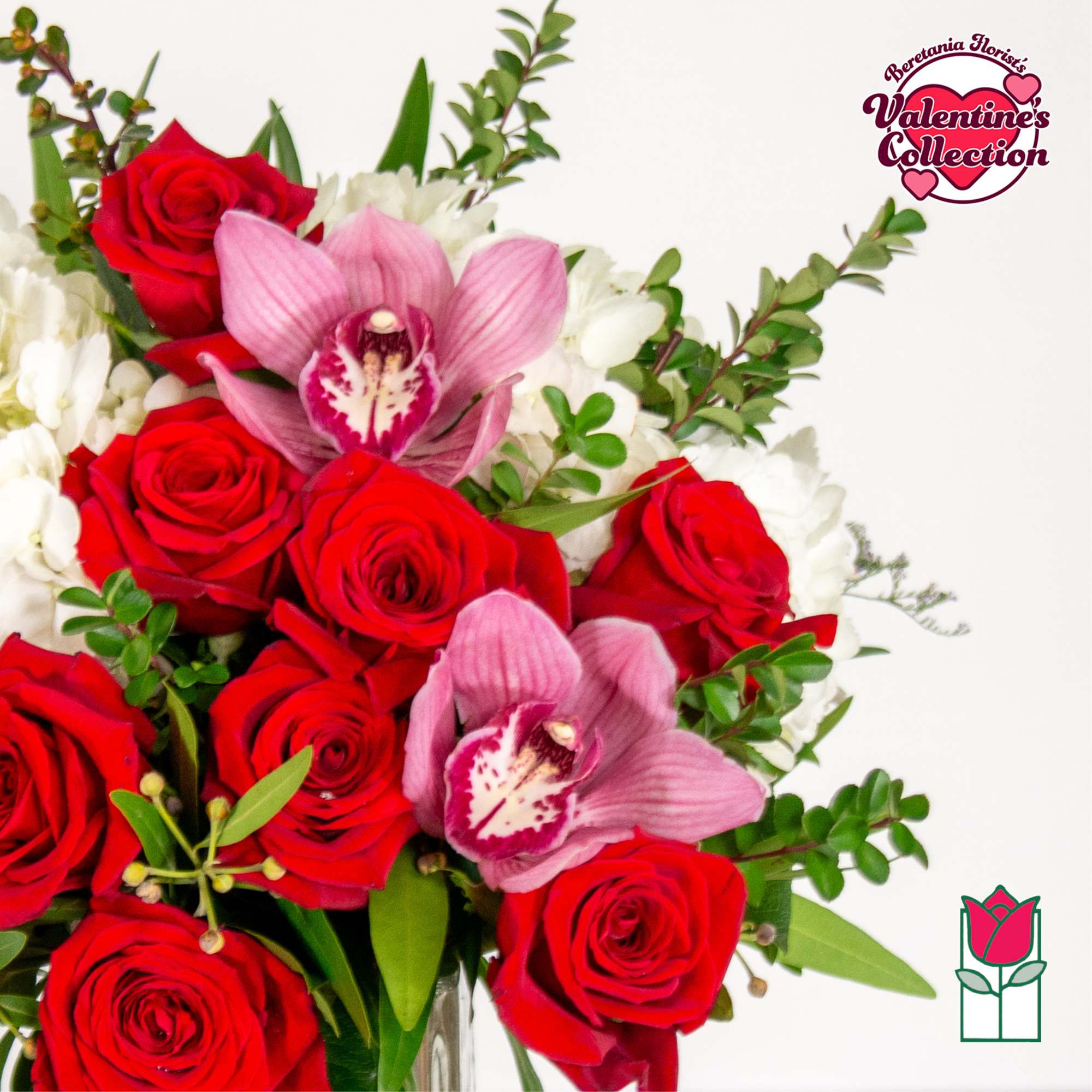 Approx. size: 8" High x 8" Wide
Size category: Compact Size, perfect for