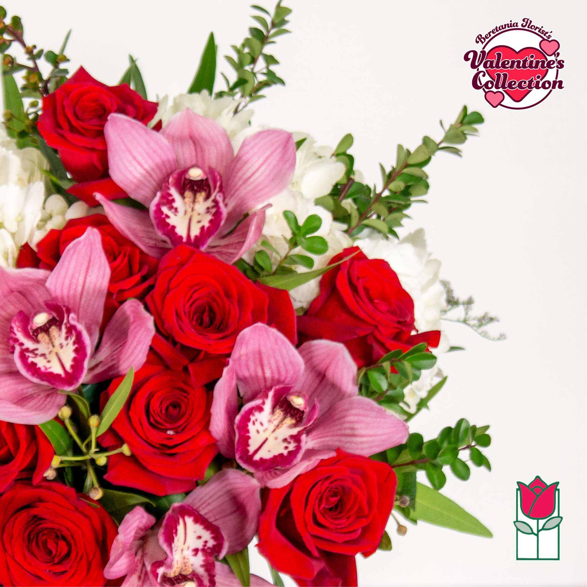 Approx. size: 8" High x 8" Wide
Size category: Compact Size, perfect for