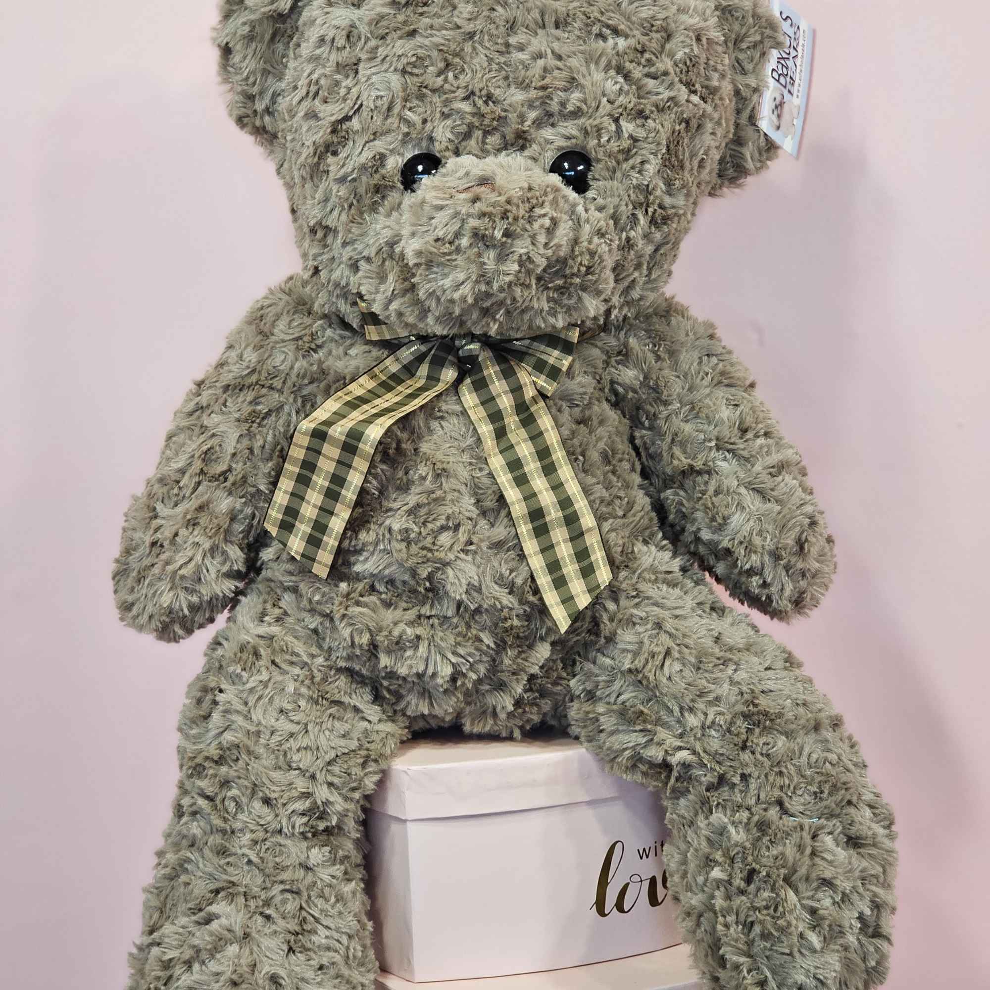 Pick a soft and fussy bear to make anyone's day! Add a