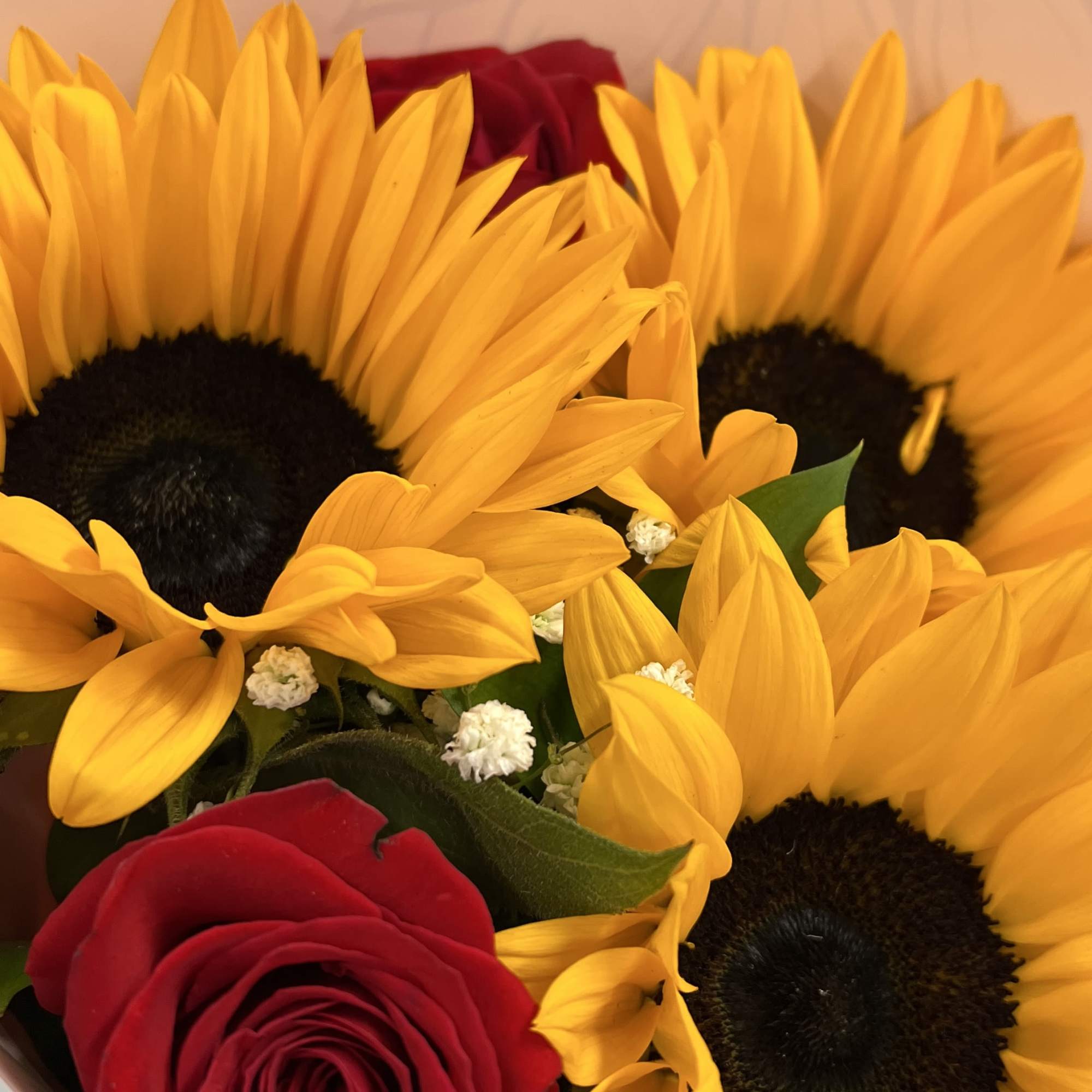 Buyer will receive 3 sunflowers and 3 red roses 
