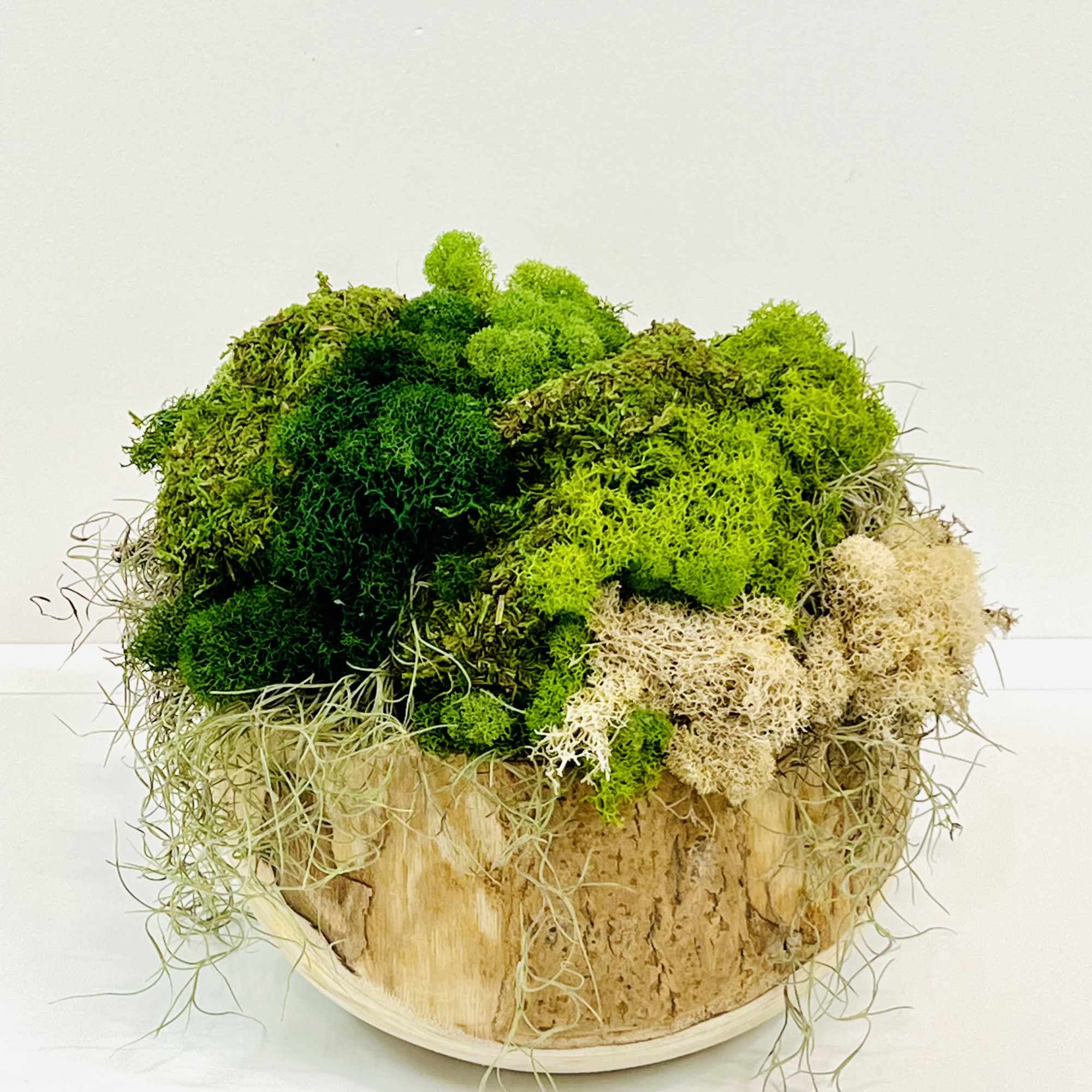 Natural Kua Bowl with peeks and valleys 
of a variety of Moss.