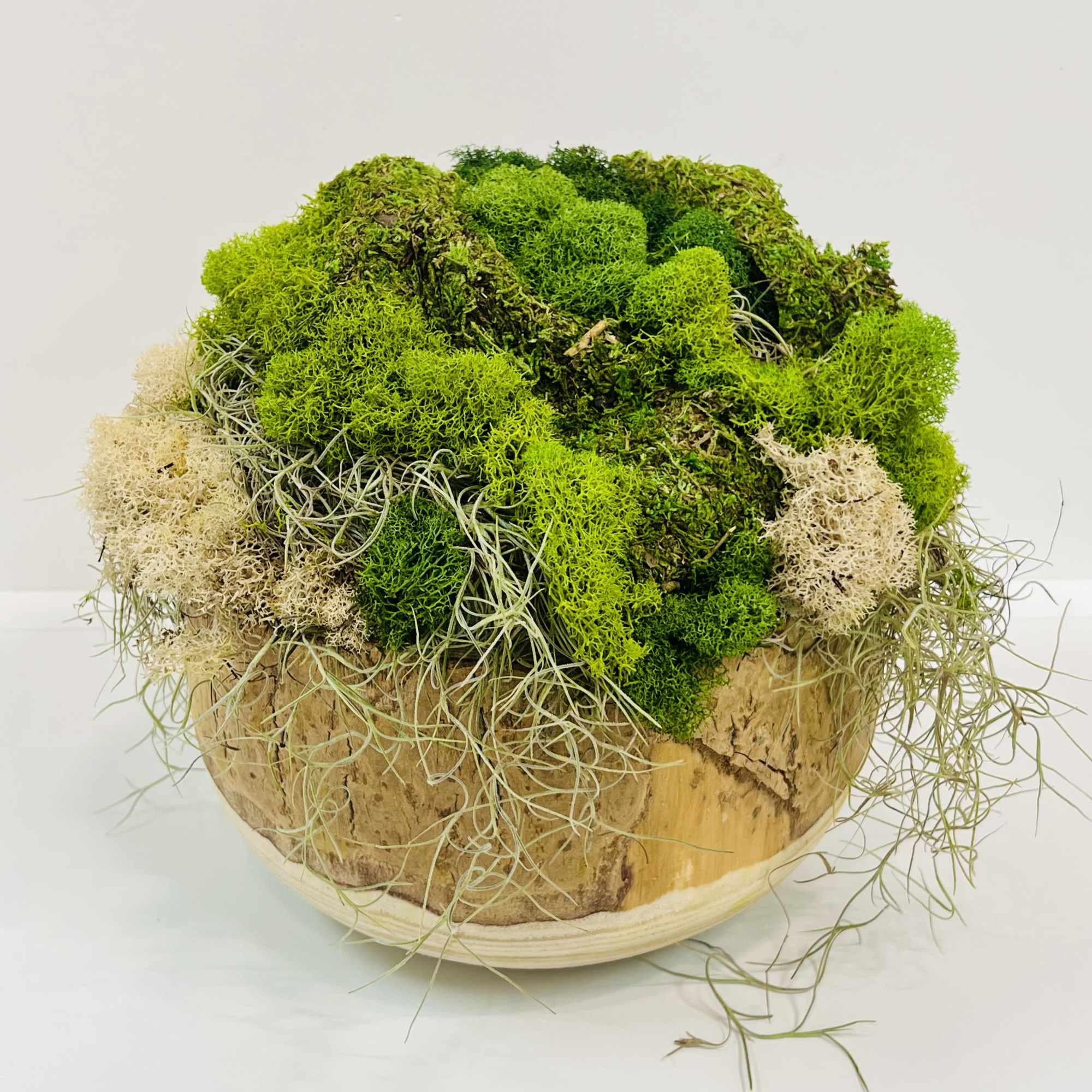 Natural Kua Bowl with peeks and valleys 
of a variety of Moss.