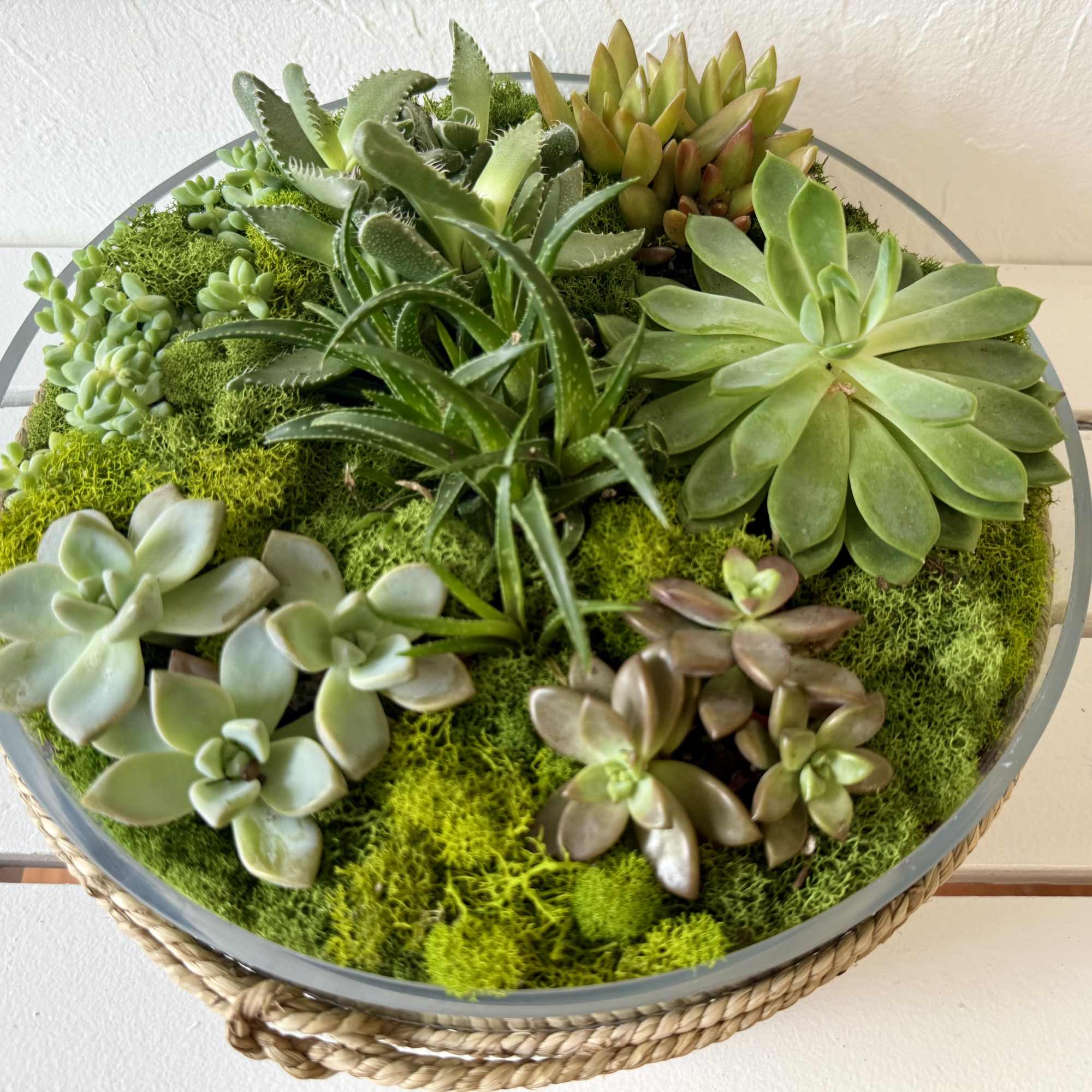 The gift that keeps on giving.
This 4"x12" glass cylinder vase is filled