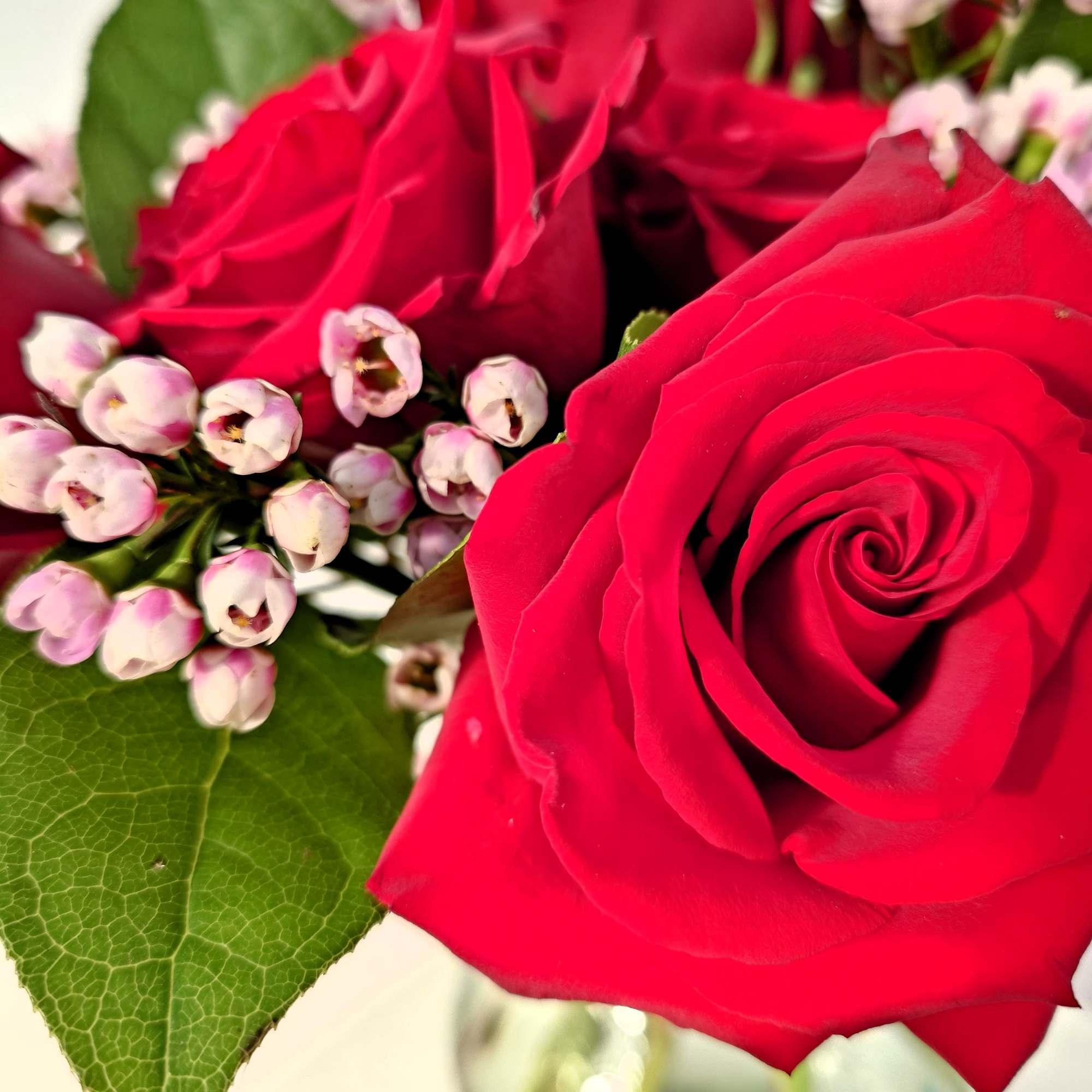 A perfectly petite gesture of love. Six fresh roses are artfully arranged