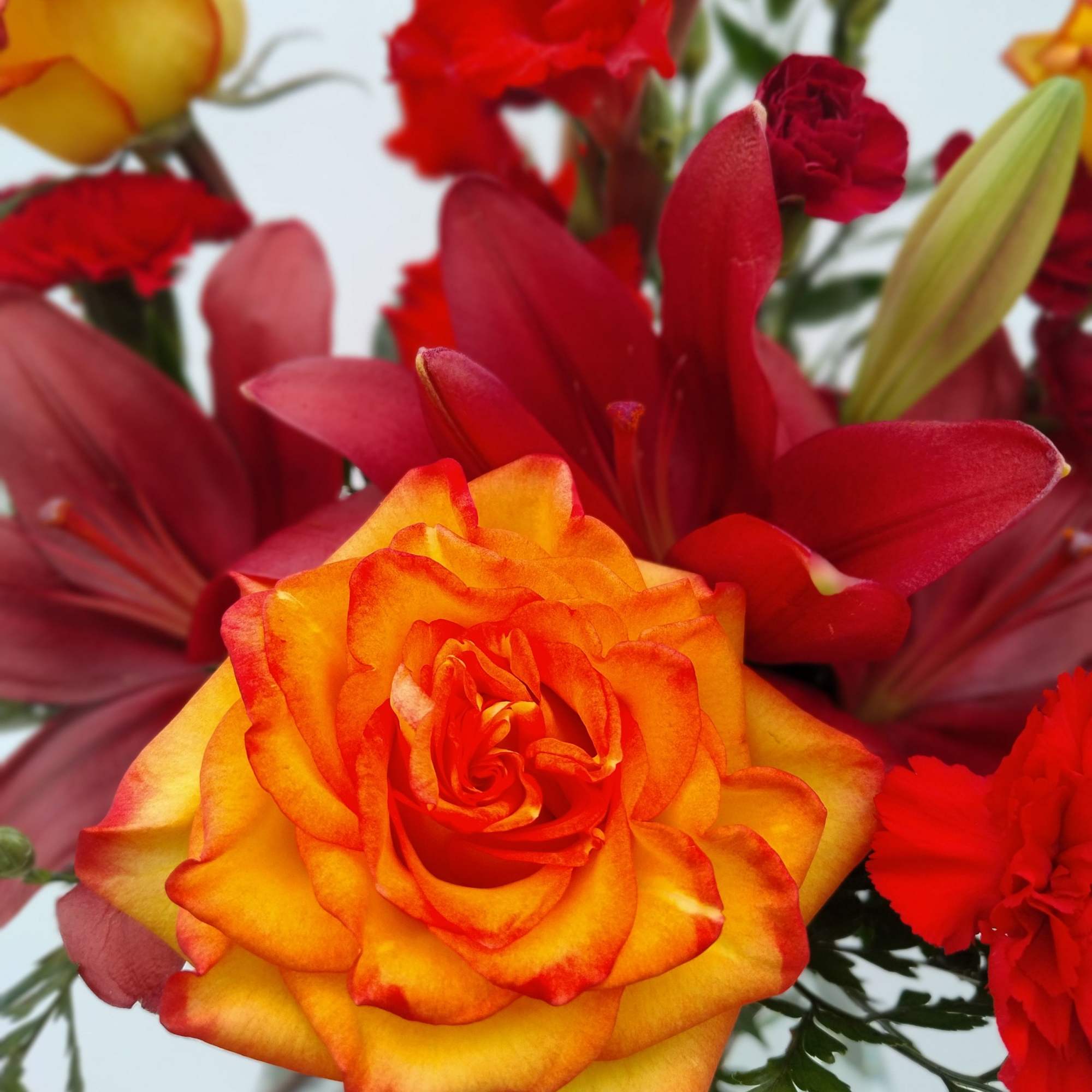 Firey reds and oranges for the one who has your heart 