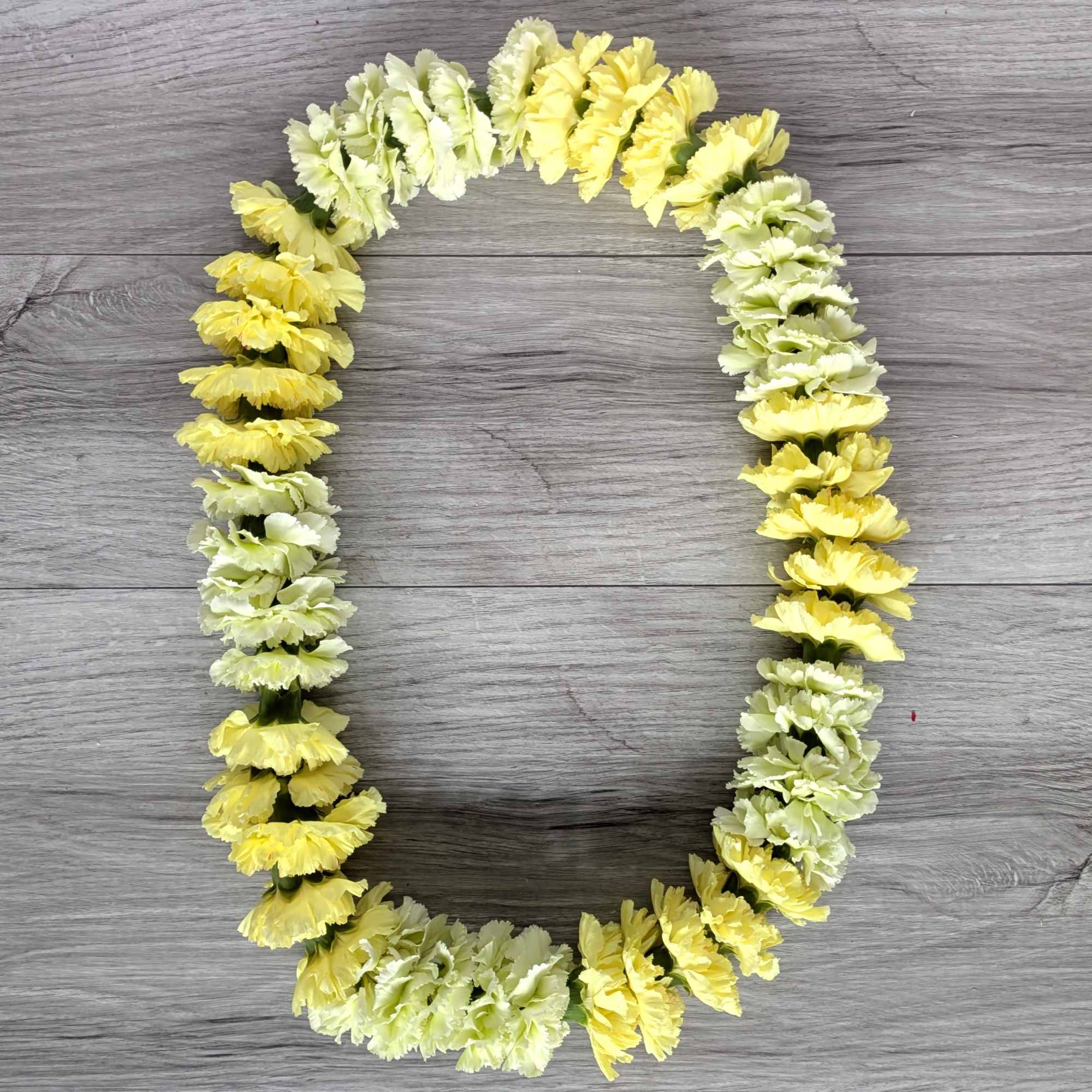 A mix of green and yellow carnation Lei, perfect for graduation! All