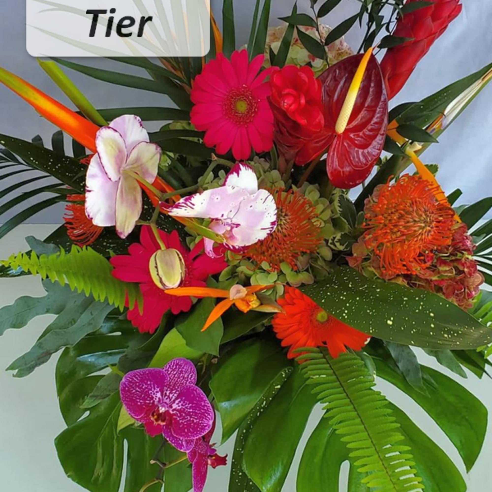 Birds of Paradise, pincushion protea, orchids, ginger and anthurium mix well with