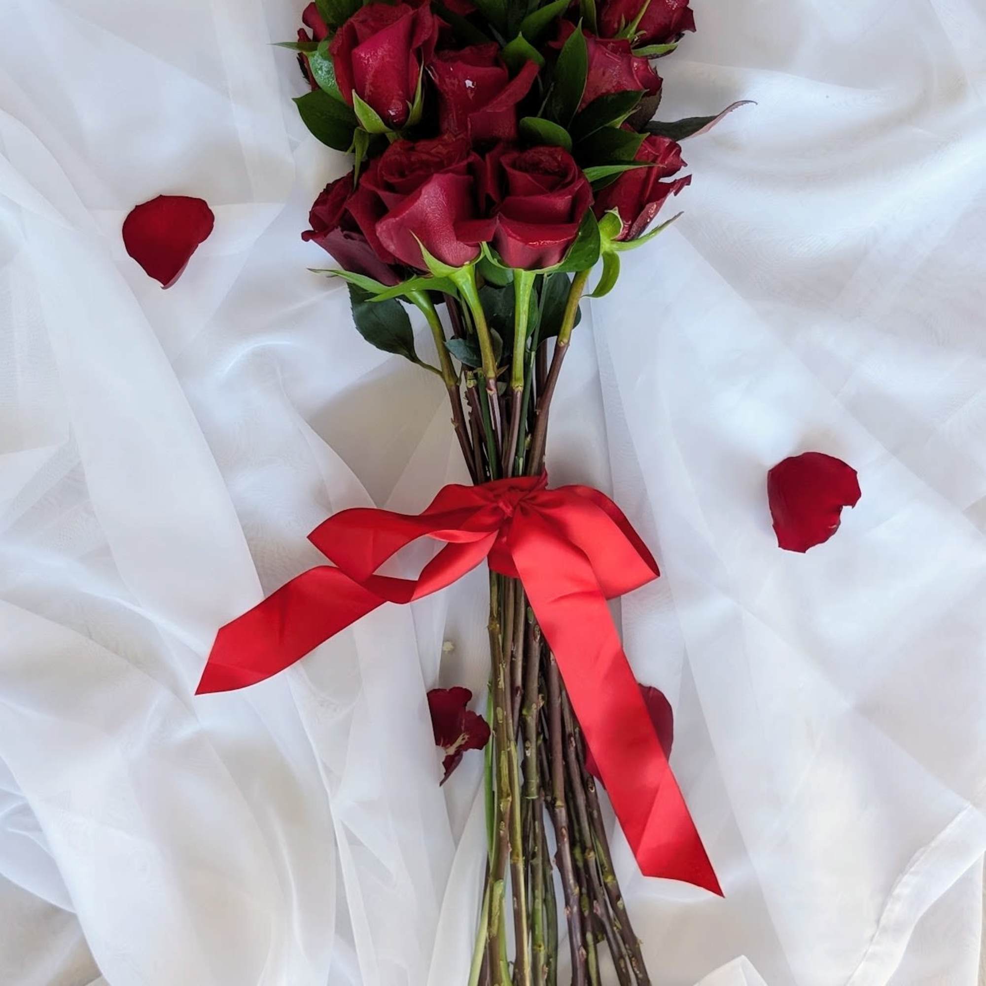 The perfect mix of classic and modern. One dozen romantic long stemmed