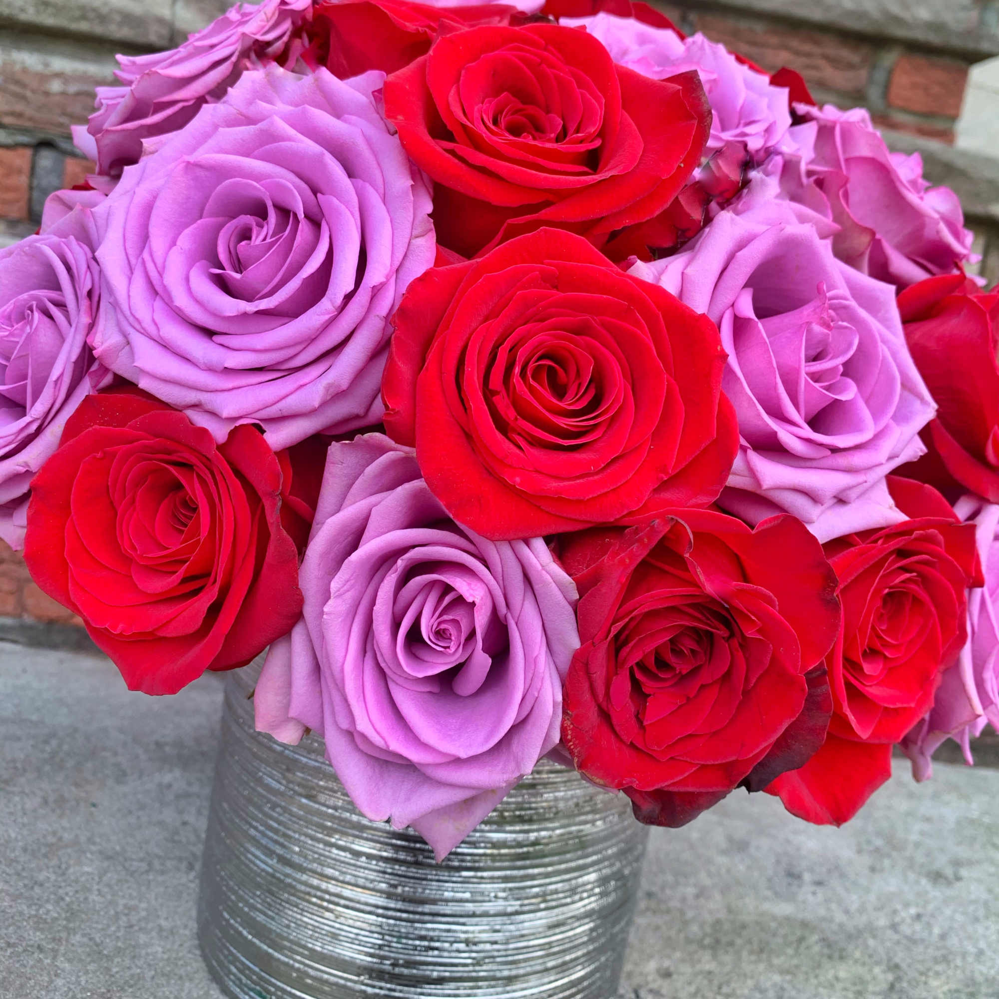 Show your love with our beautiful Red Freedom and Lavender Cool Water