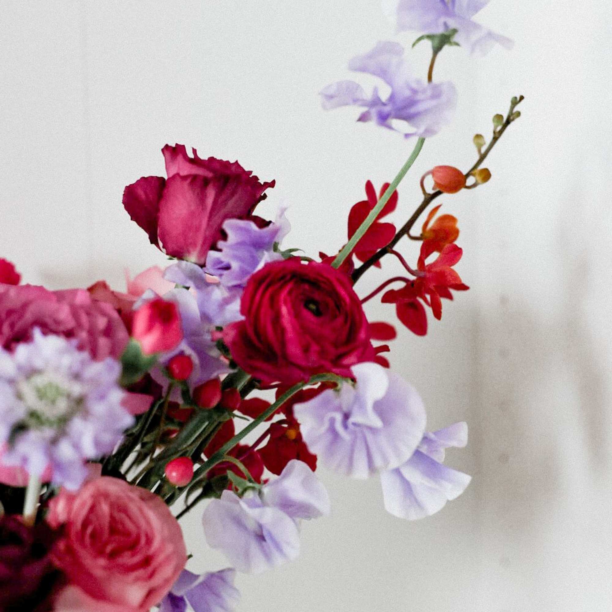 Treat your Valentine to something truly lovely this year! 

Pre-order now to