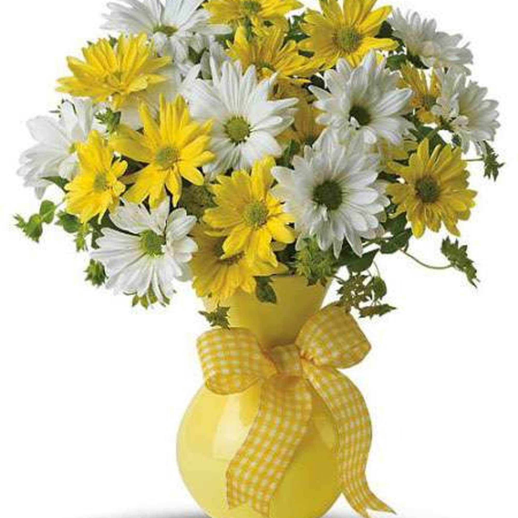 Surprise someone you love with an array of amazing daisies in a