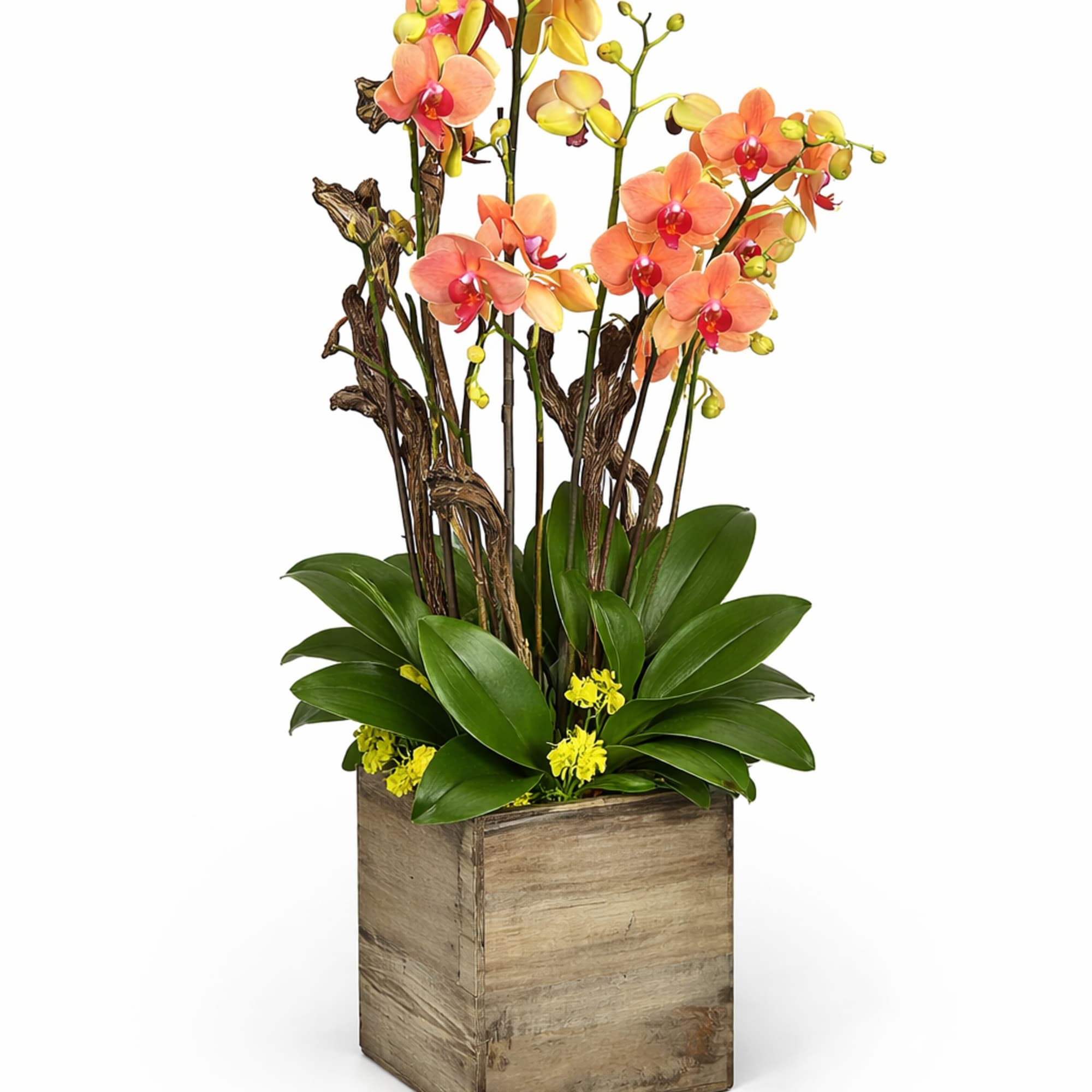 The serenity of a glorious island sunset to bring a touch of