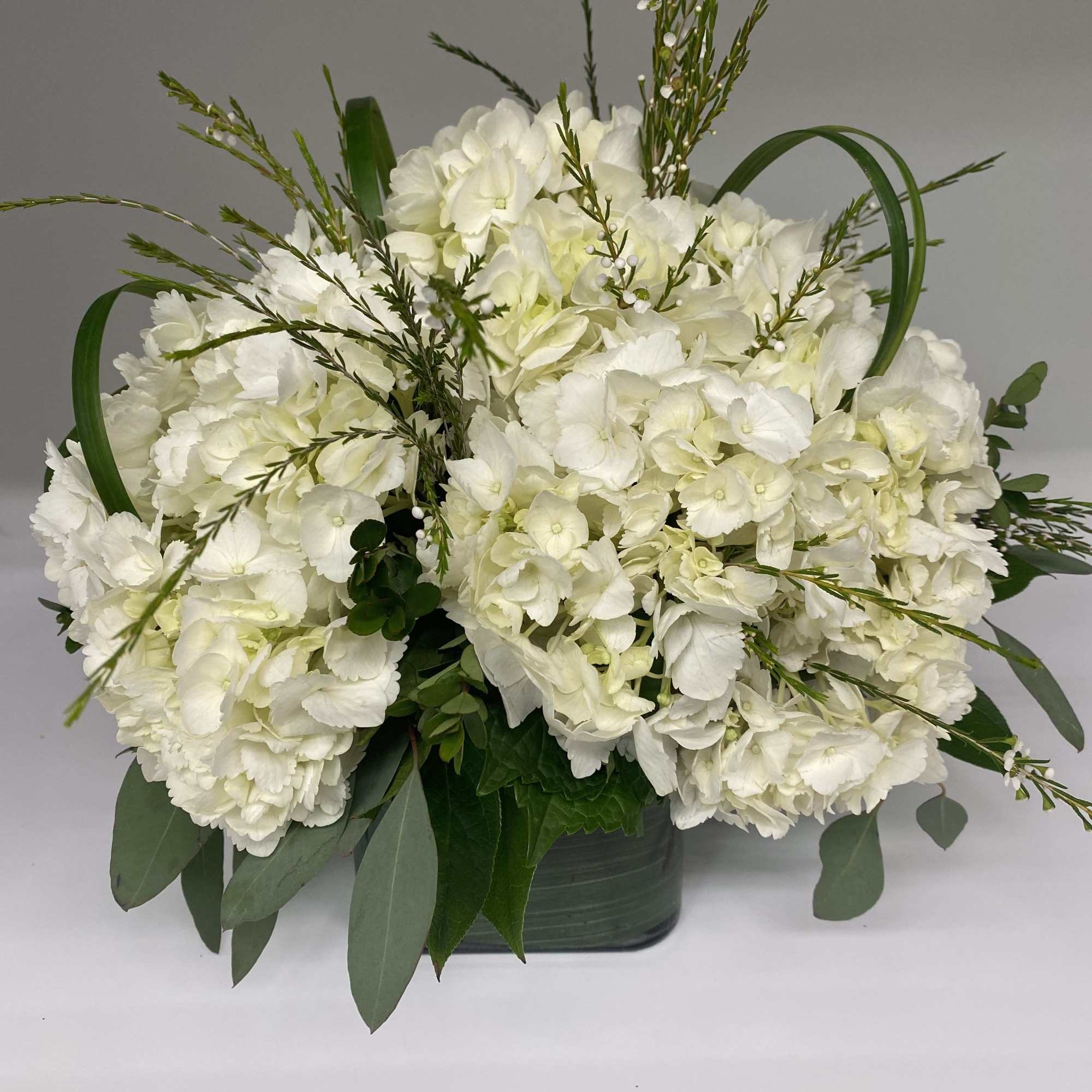 Floral arrangement consisting of your choice white, pink, or blue hydrangeas in