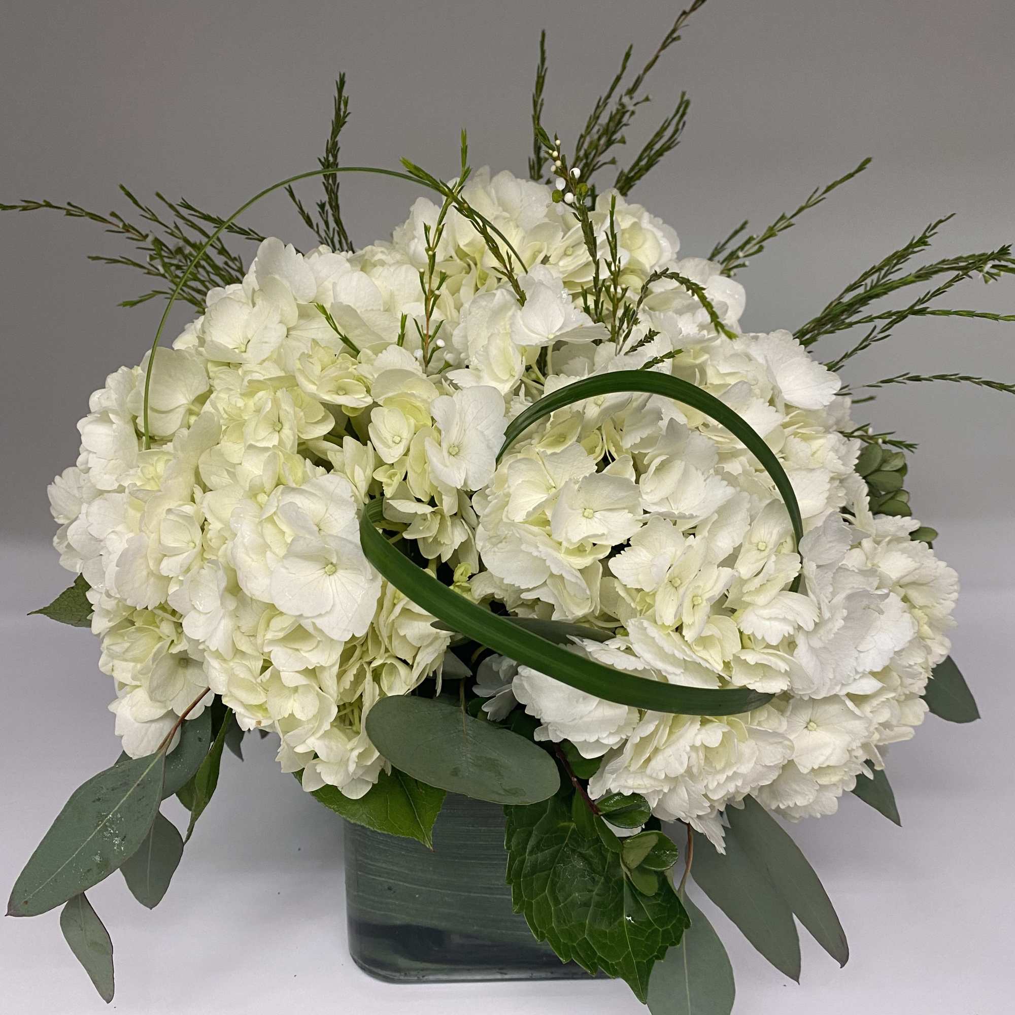 Floral arrangement consisting of your choice white, pink, or blue hydrangeas in