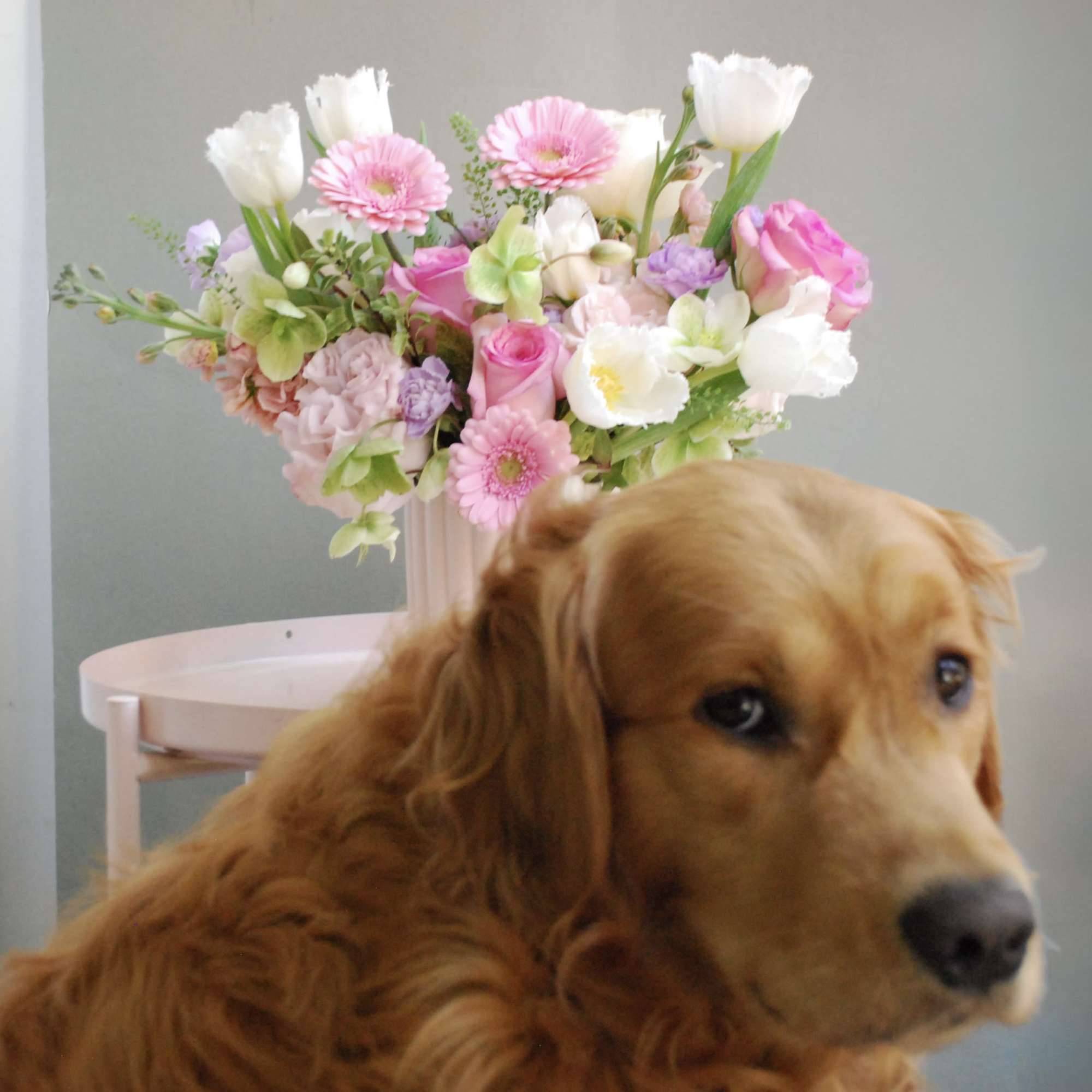 A light and airy composition featuring pastel pink roses, soft gerbera daisies