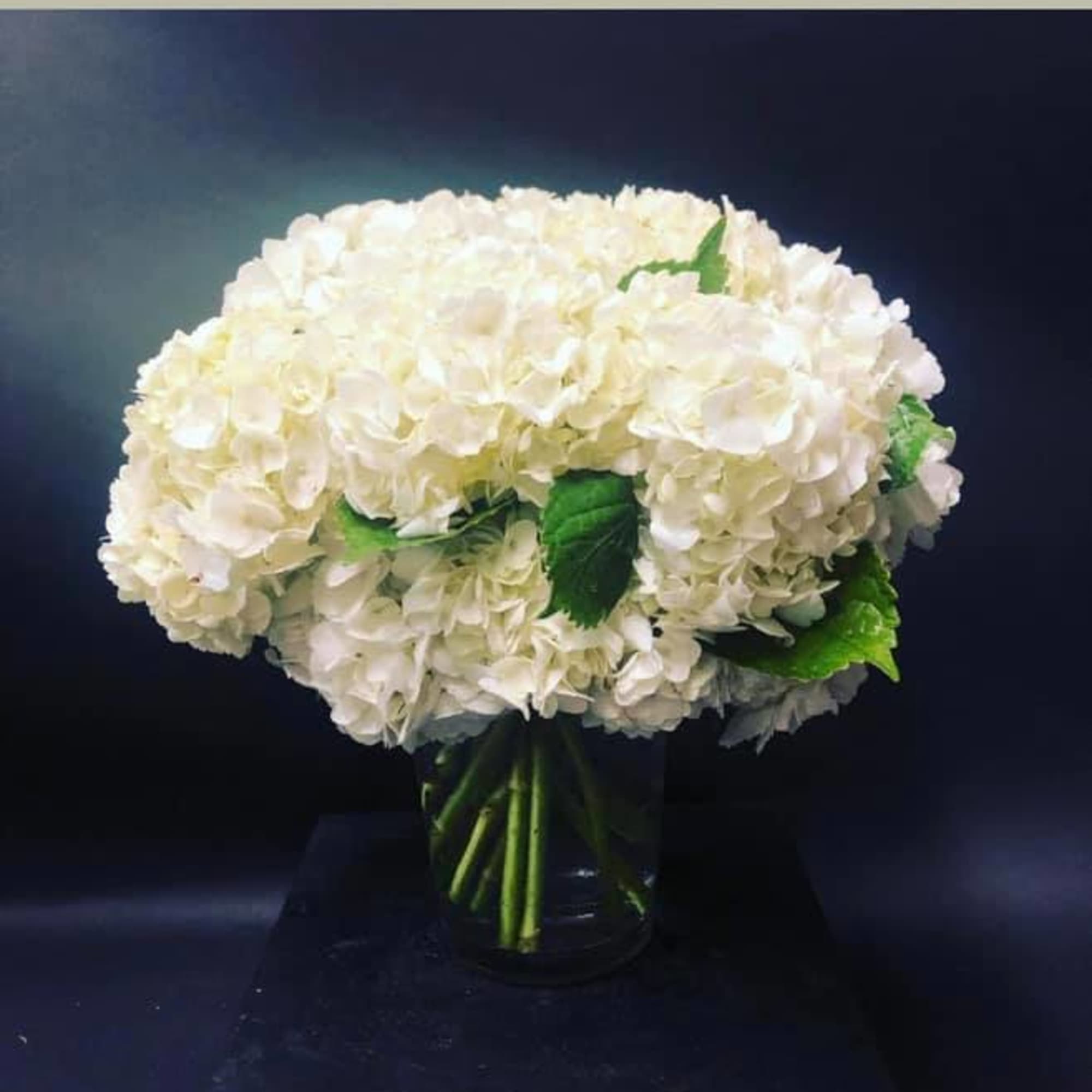 Chic, classic simplicity. Hydrangea pave in a glass vase.