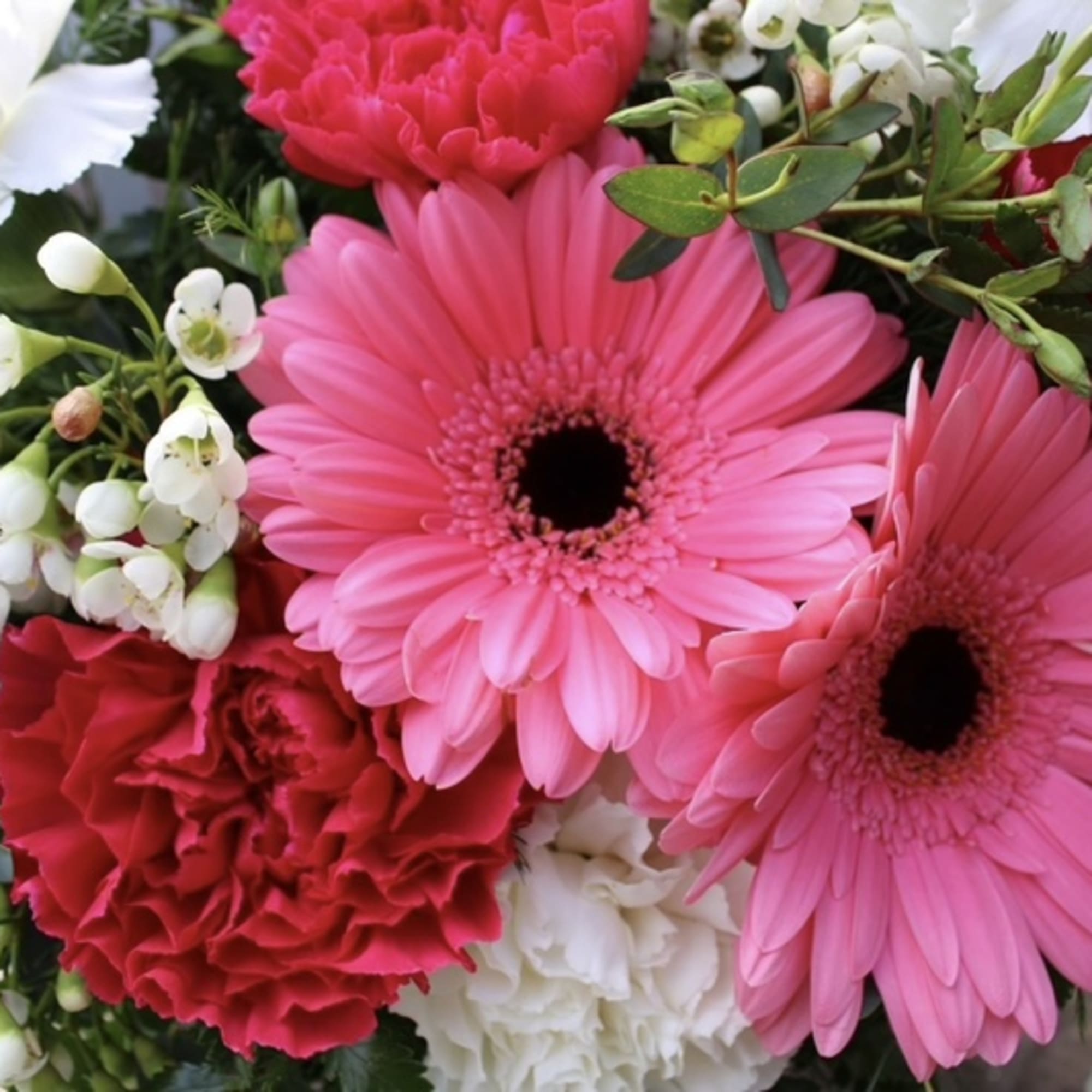 3 red carnations, 3 white carnations, 2 gerbera daisies 