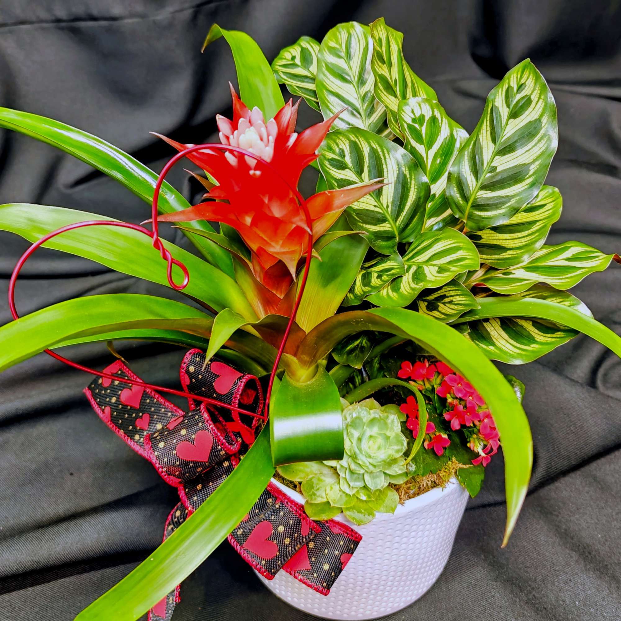 Long lasting plants as a constant reminder of your gratitude and love