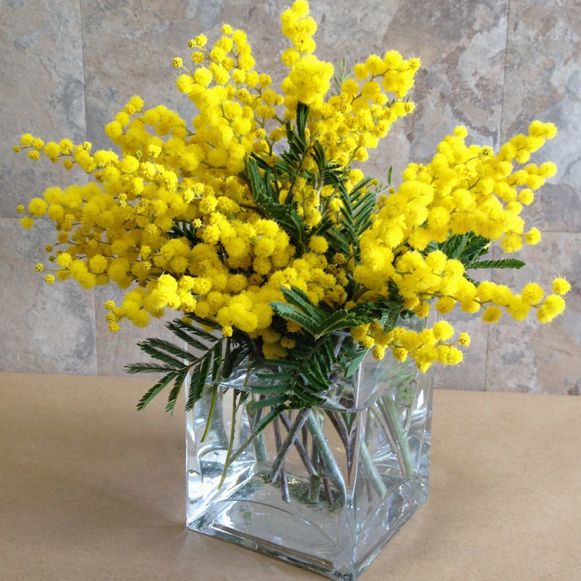 International Women&rsquo;s Day is annually held on March 8 to celebrate women&rsquo;s