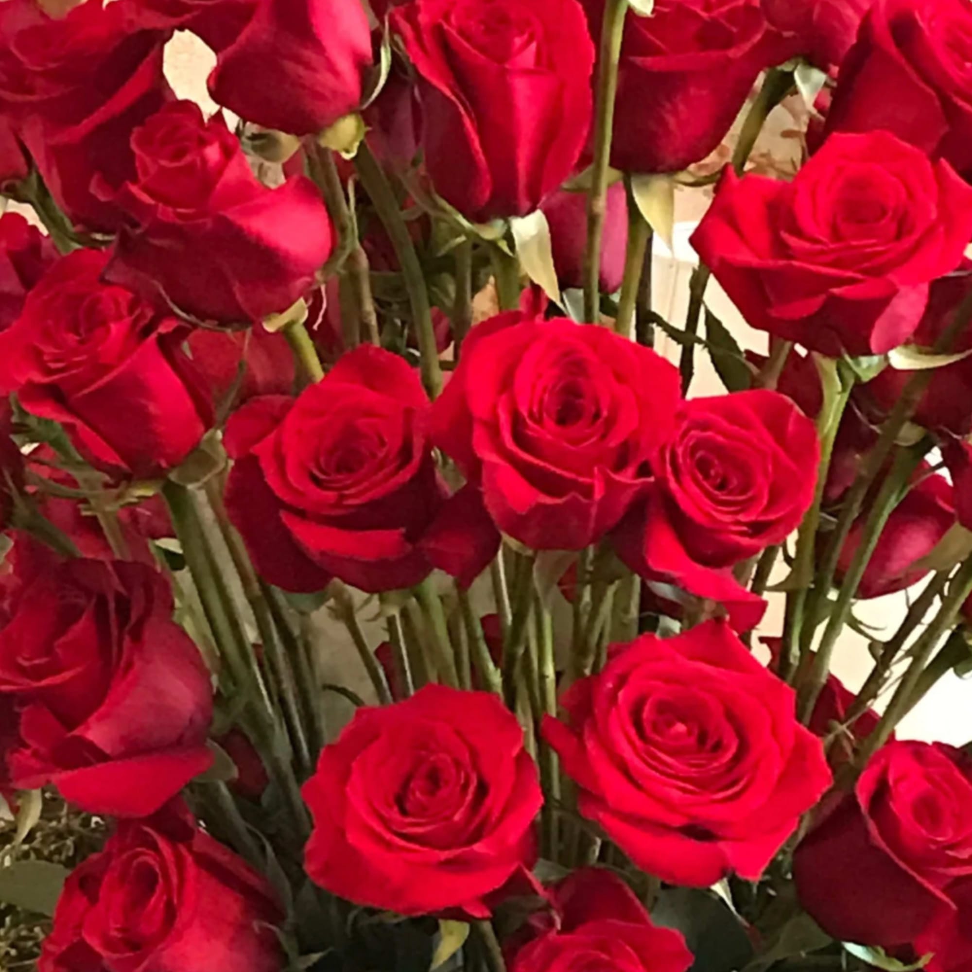 Dozen long stem roses with greenery in presentation style. Available for IN