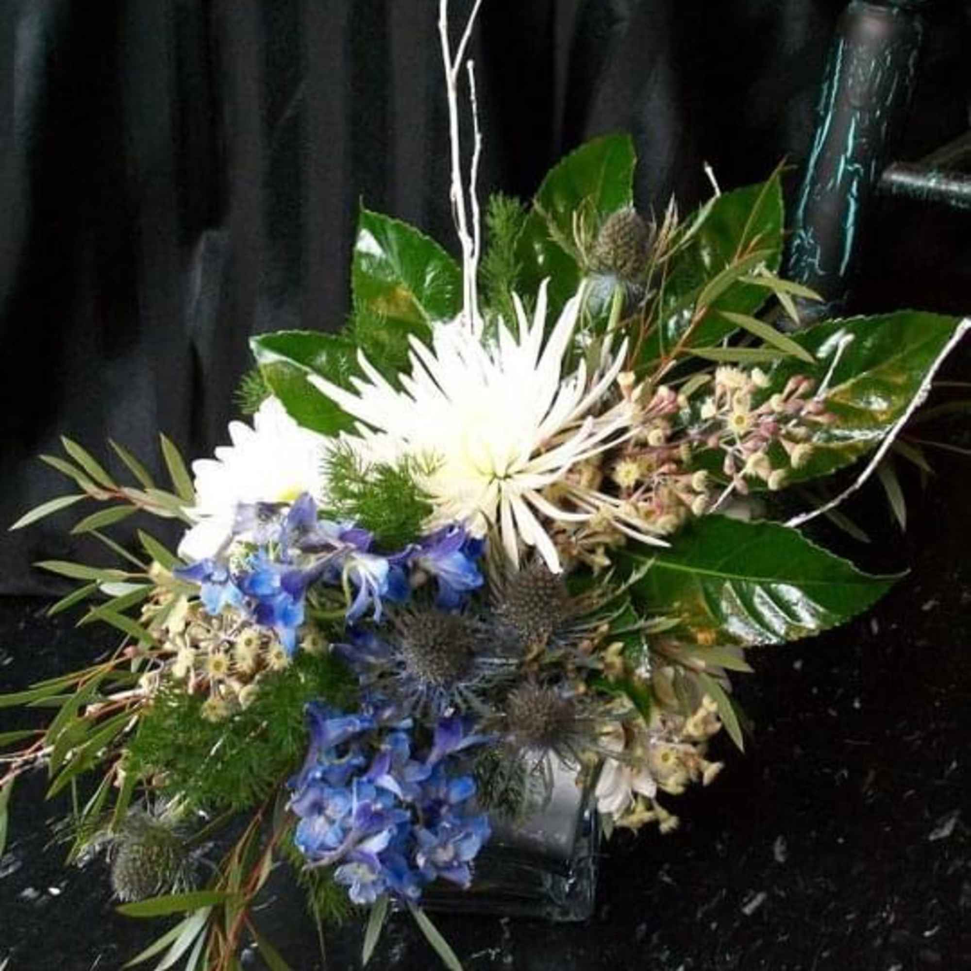  A bright and organic member of our &lsquo;Winter Celebration Collection&rsquo;. 