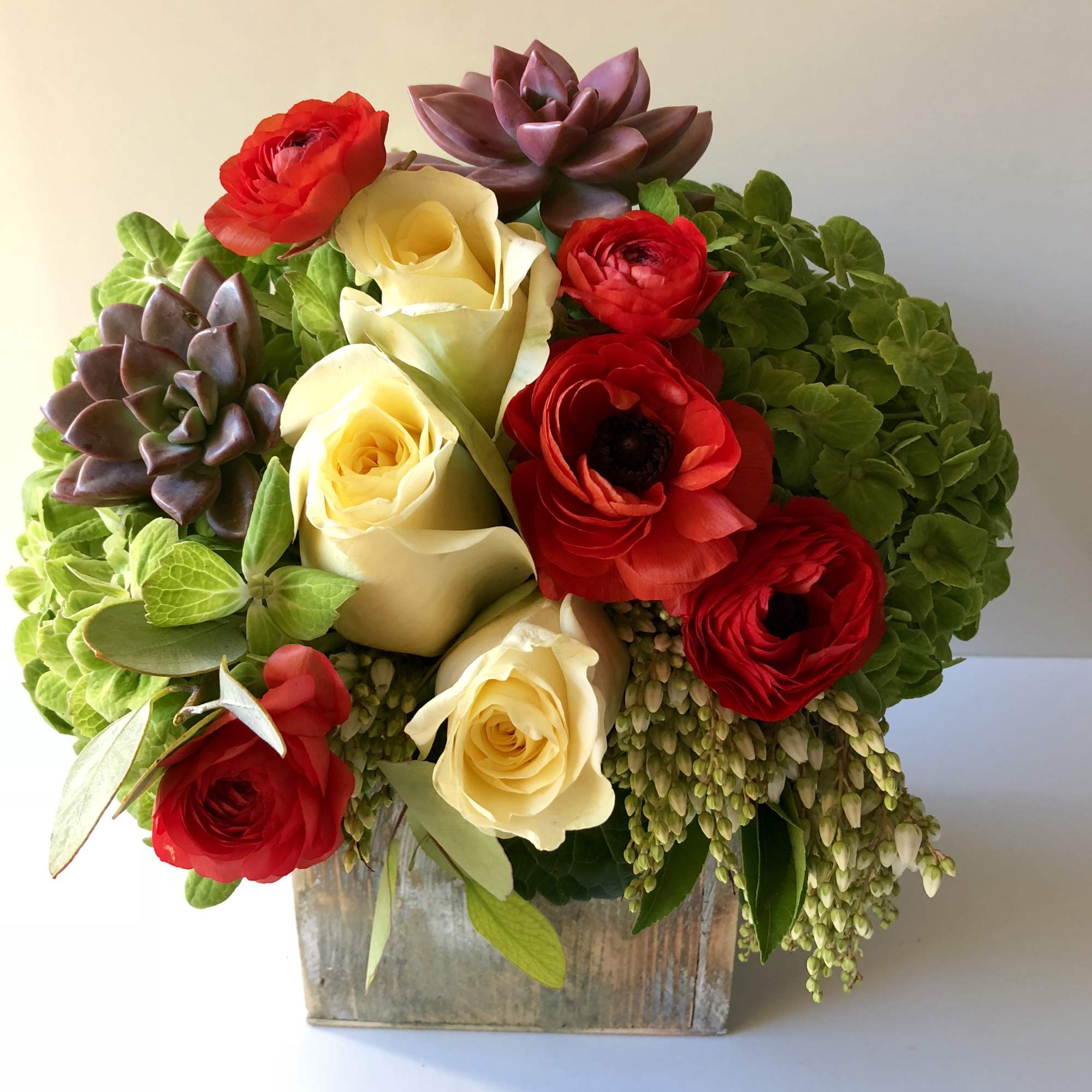 This green Hydrangea blended with red ranunculous and soft roses and succulents
