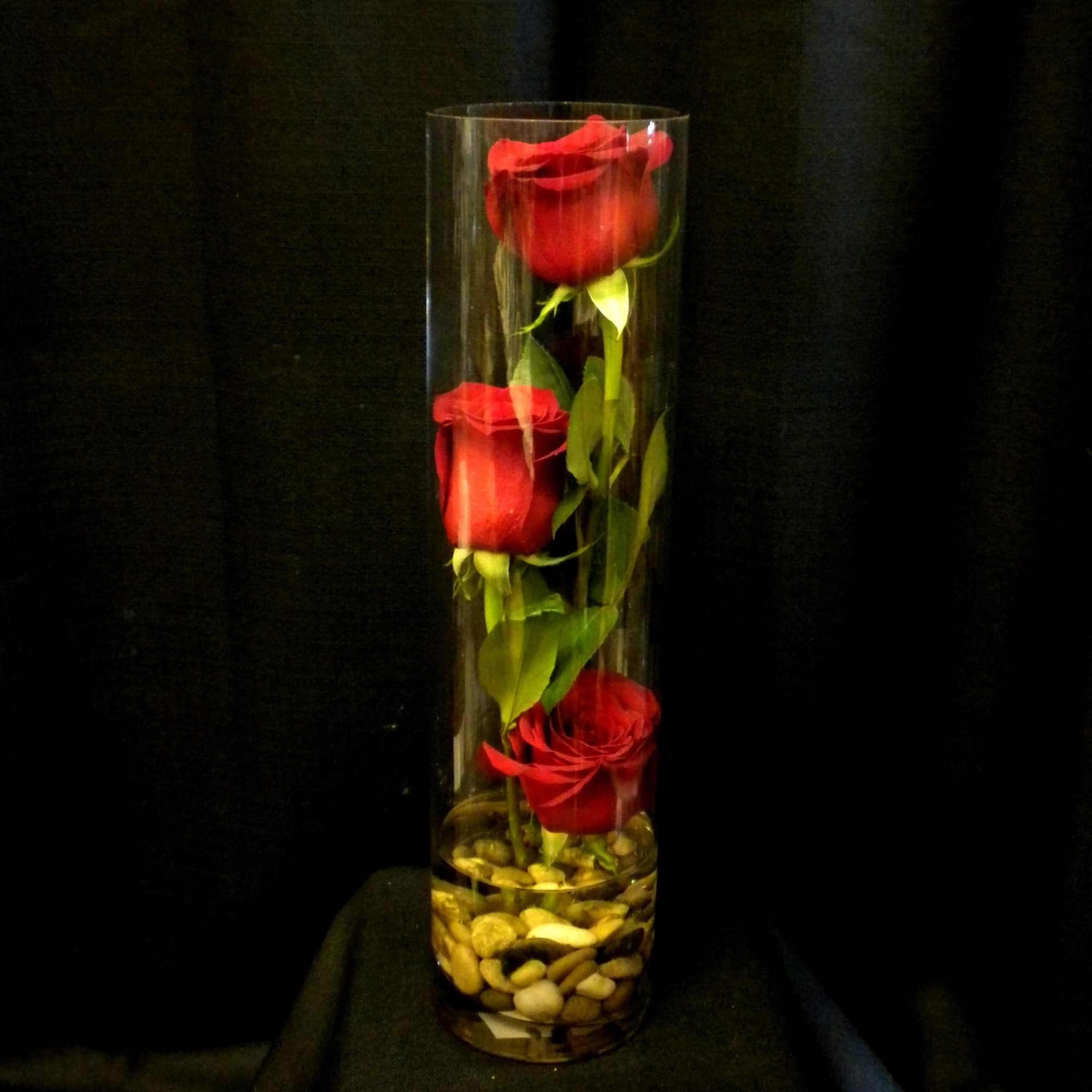 "A Kiss Goodnight" features three deep red roses gracefully encased in a