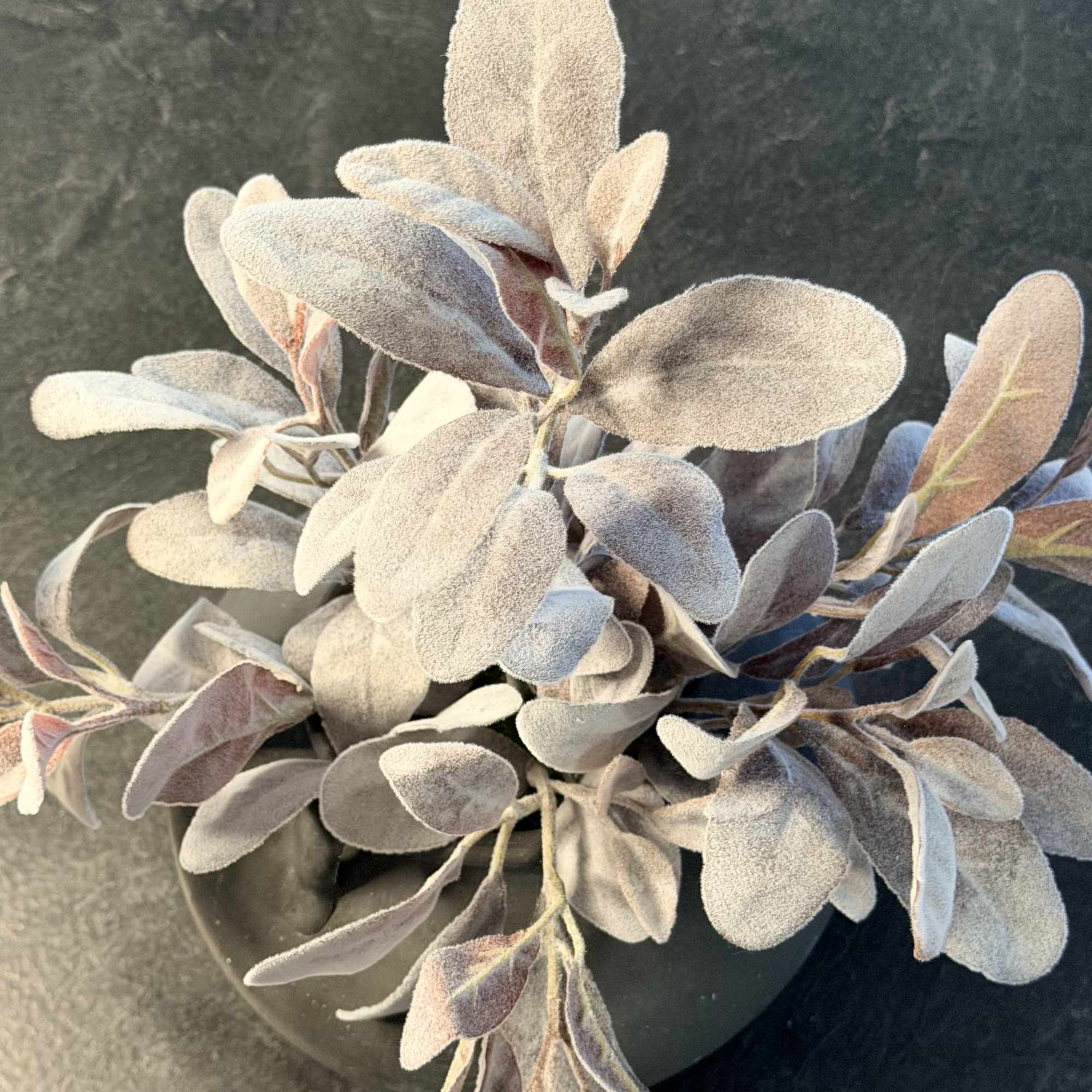 Understated. Tactile. Timeless
Bring the soft, silvery elegance of a classic English garden