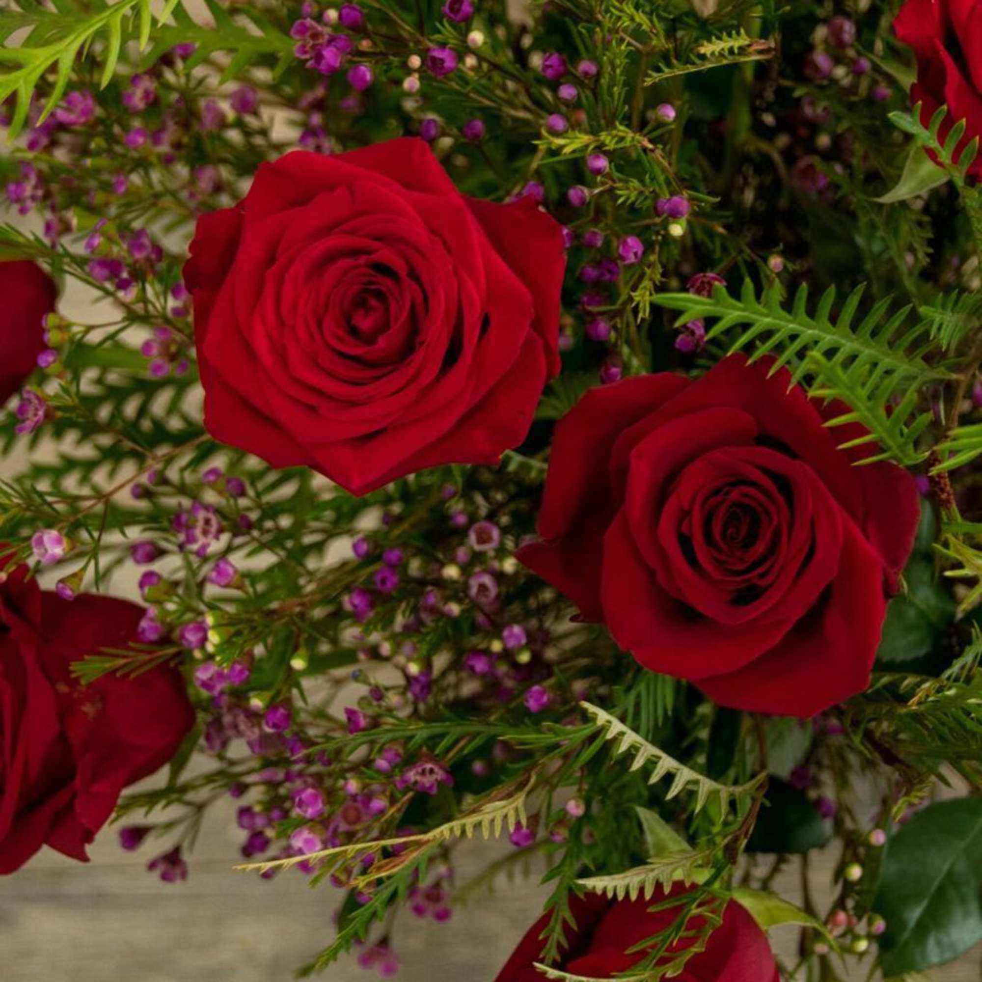  Dozen long stem roses with greens and beautiful wax flower. We
