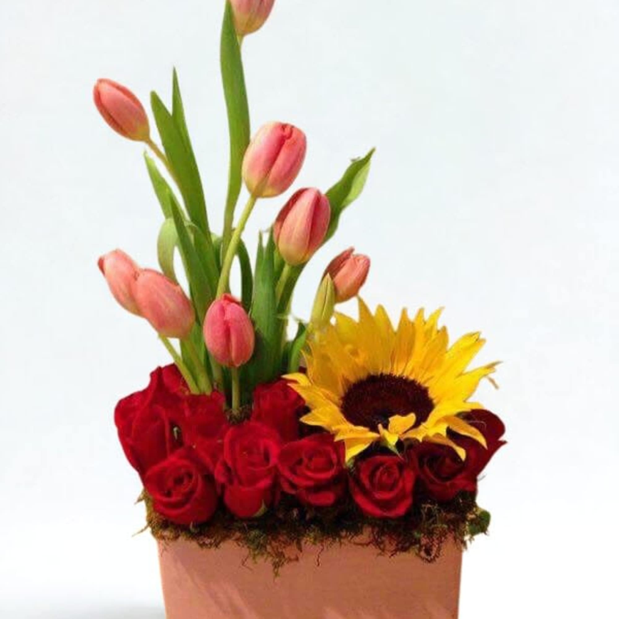 beautiful arrangement of tulips,roses and a sunflower.
