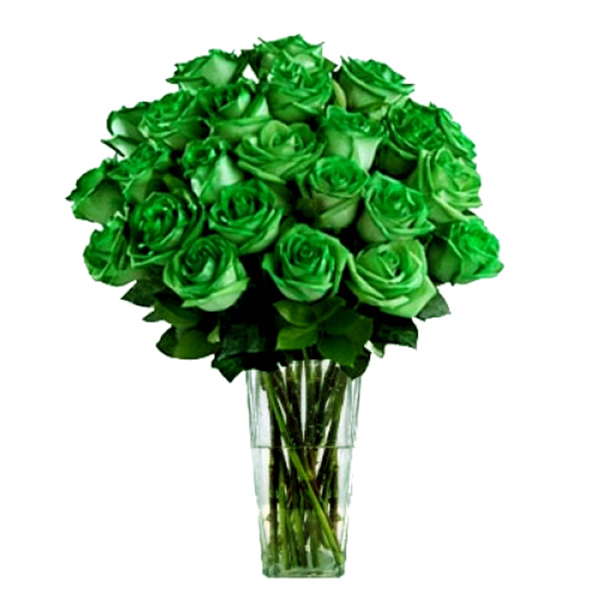 Green roses have a spiritual significance that is related to growth, renewal