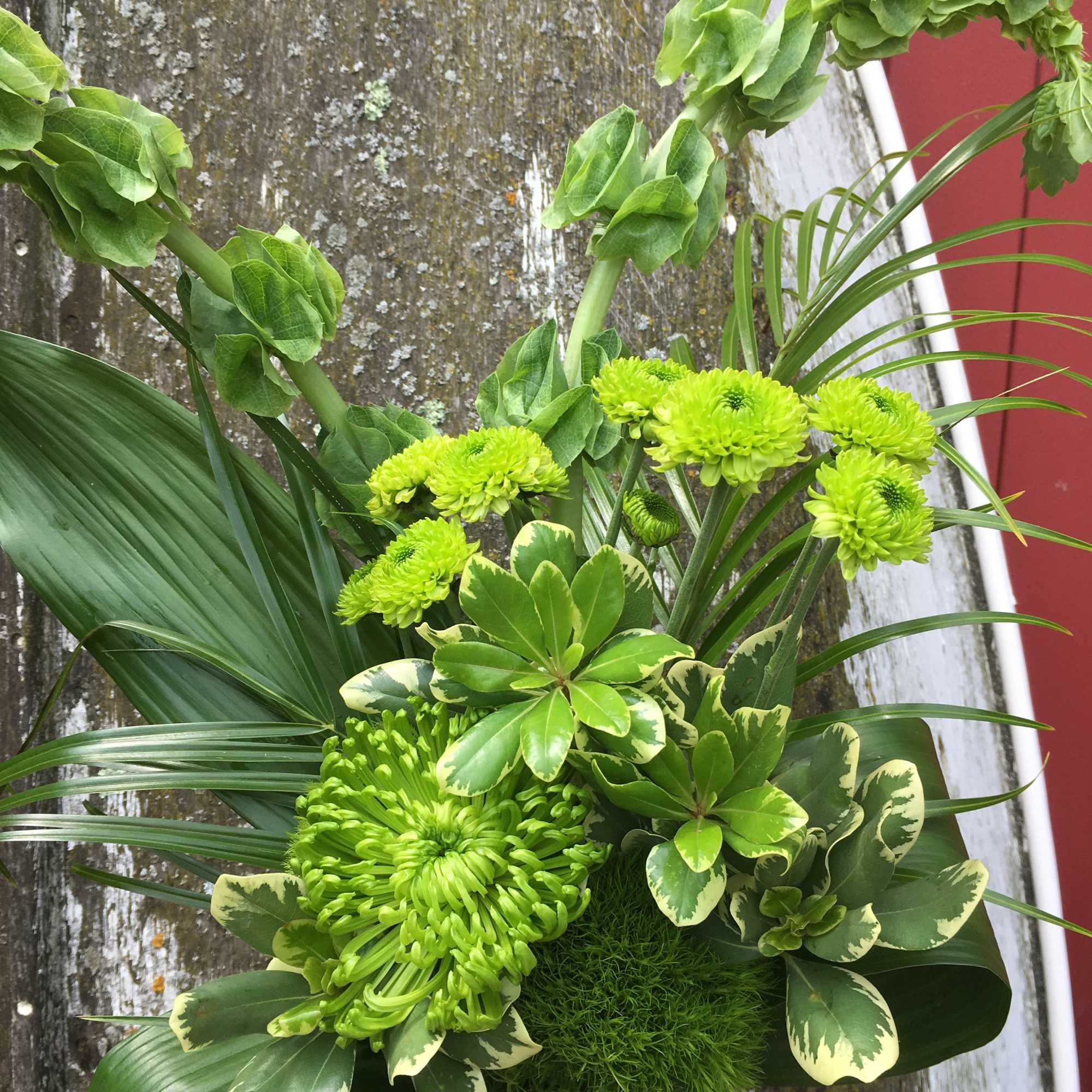 A natural everchanging mix of green flowers meant to sooth and calm