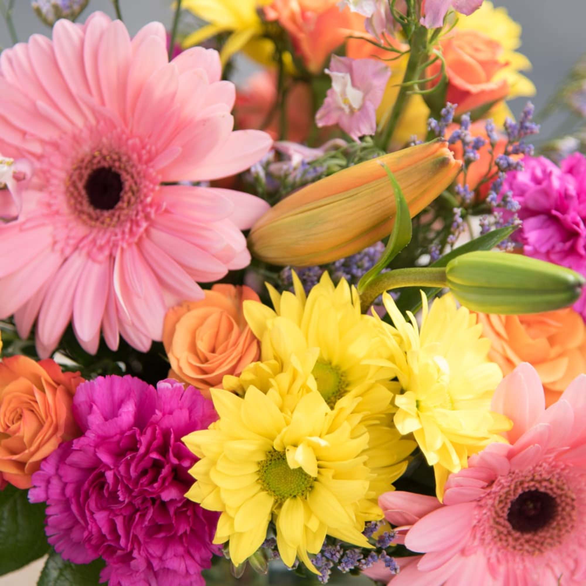 This classic bubble bowl vase is bursting with color including pink gerber
