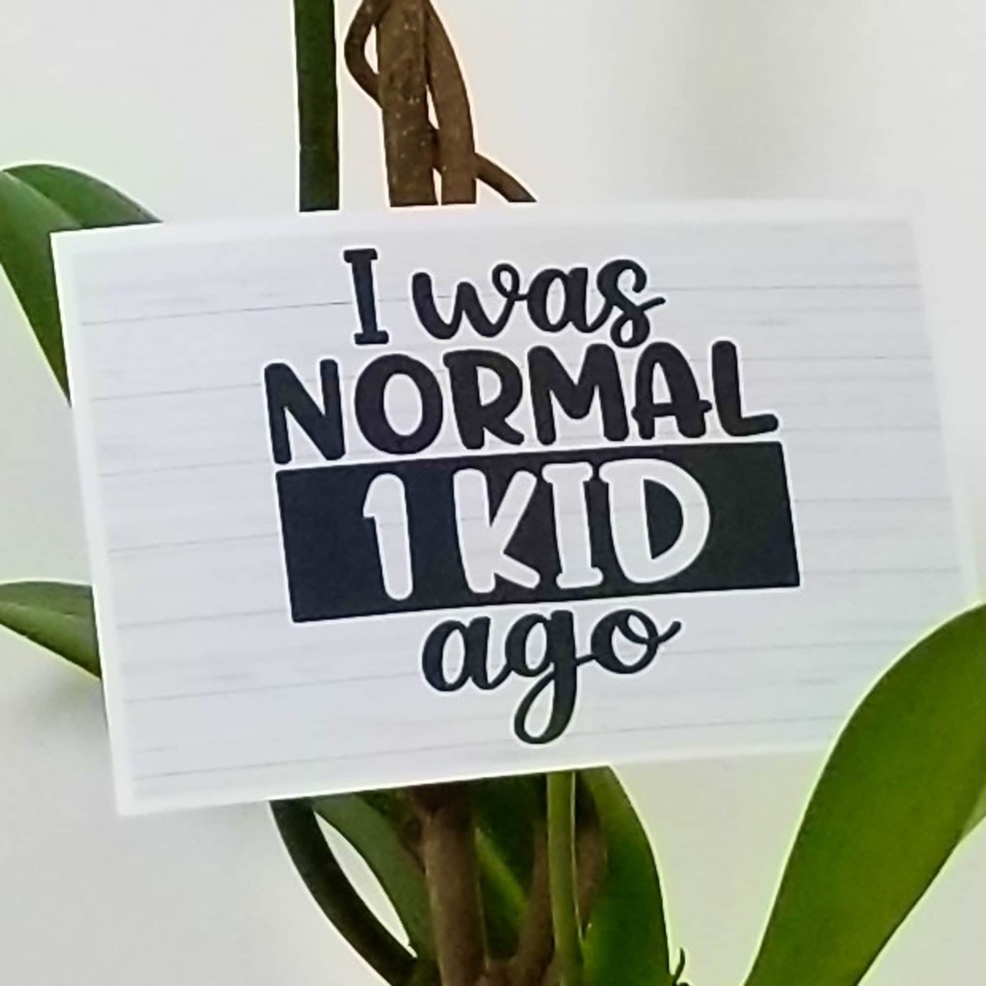 One White Single Orchid Stand in a White Vase With Branches and