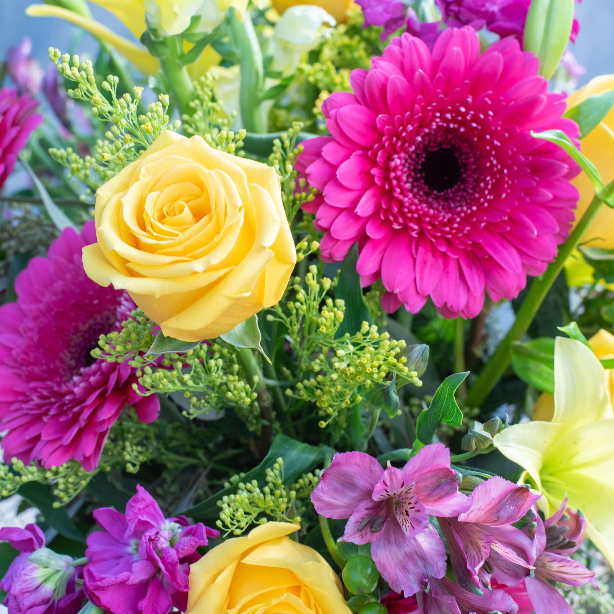 All of these vibrant colors together make for one "Majestic" arrangement! Everything