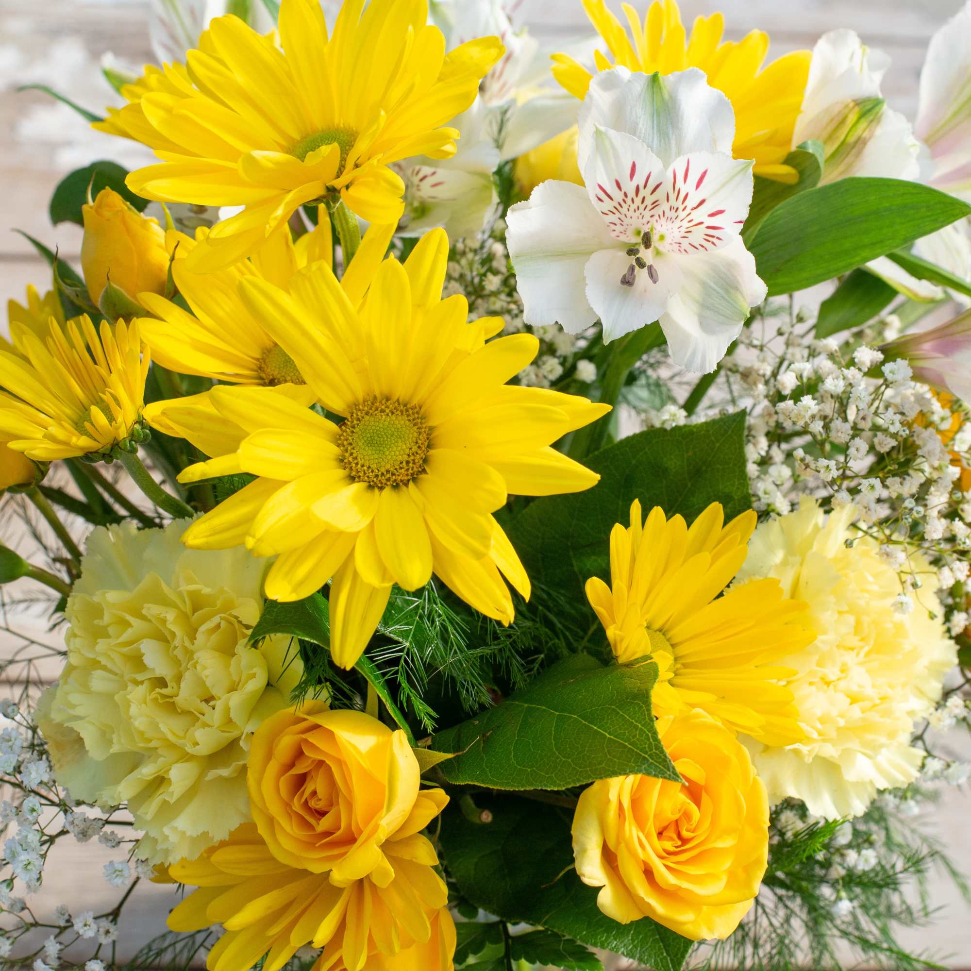 Add a little bit of sunshine to someone's day, with this petite