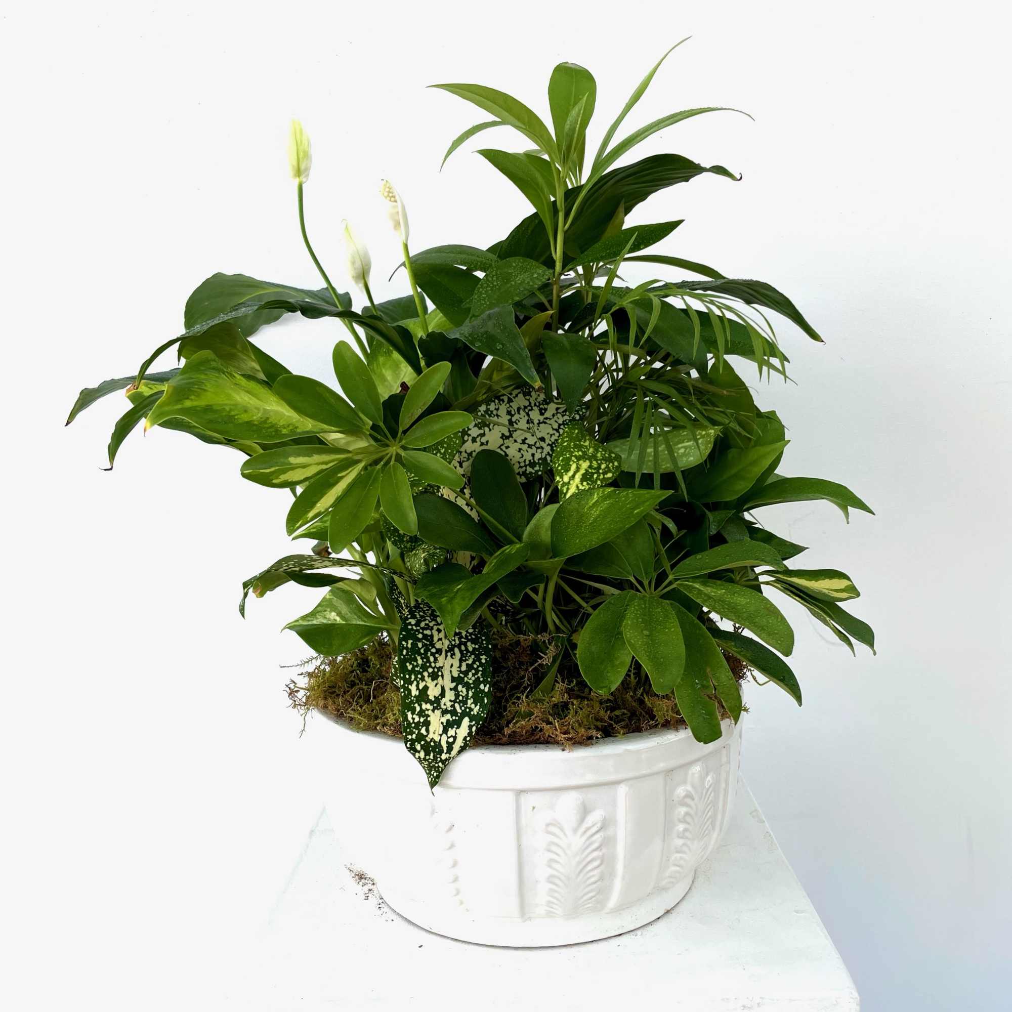 This low bowl filled with living plants will also carry comfort and