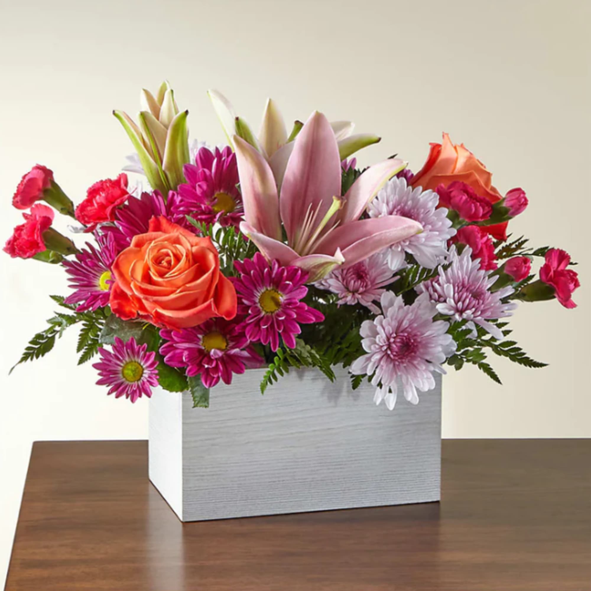 From life's big moments to sweet just because sentiments, the Light of