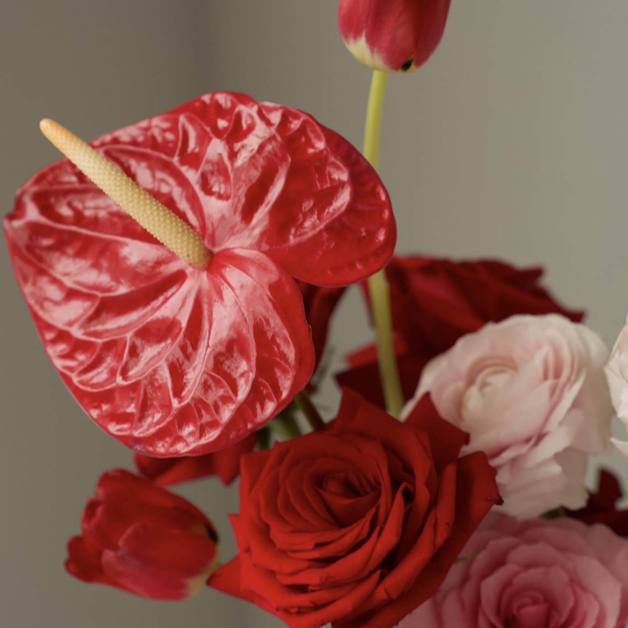 A modern mixed arrangement blending red and blush roses with soft ranunculus